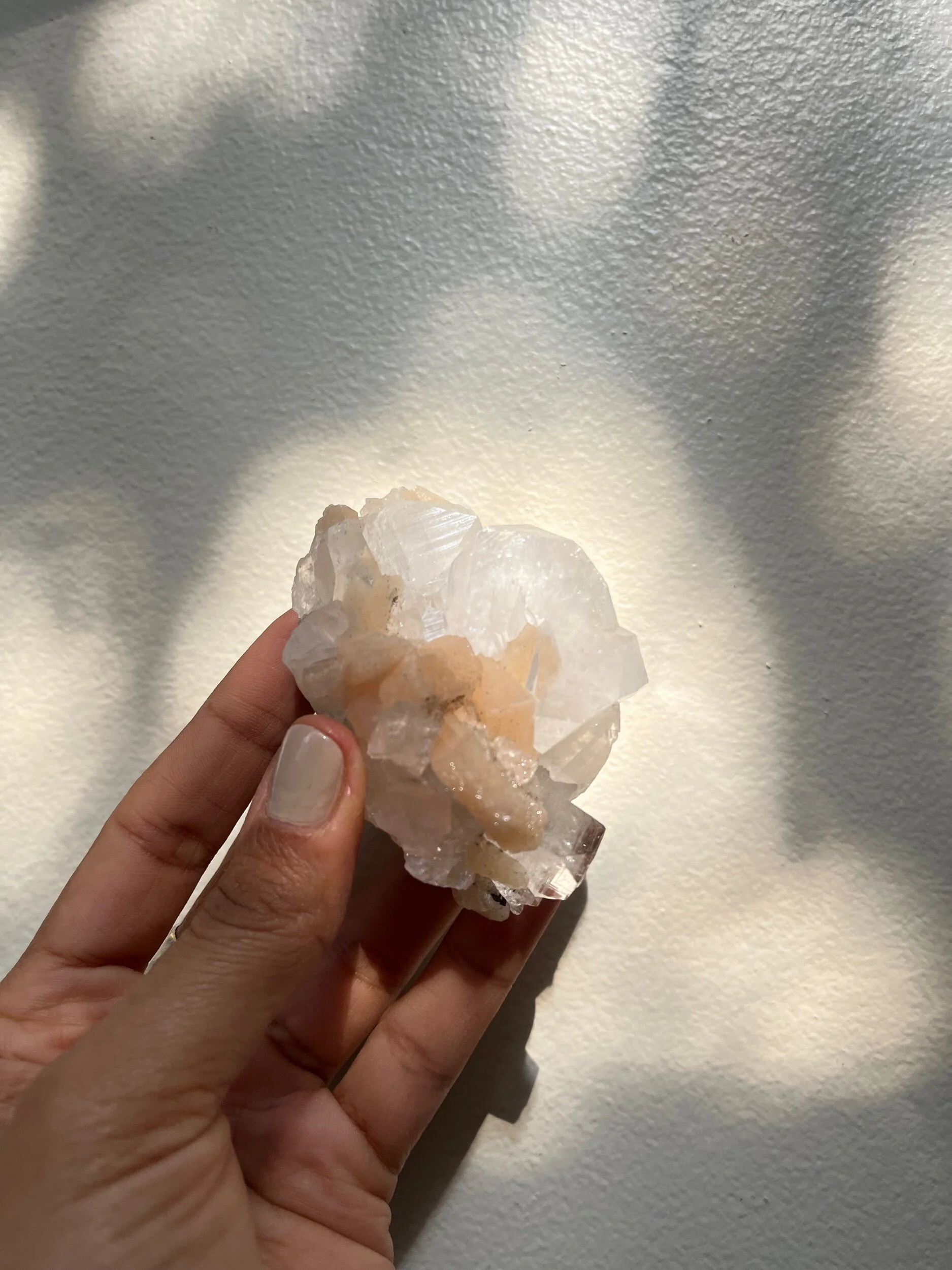 CB785307-B46C-4564-8B1A-3E5F6CF46303