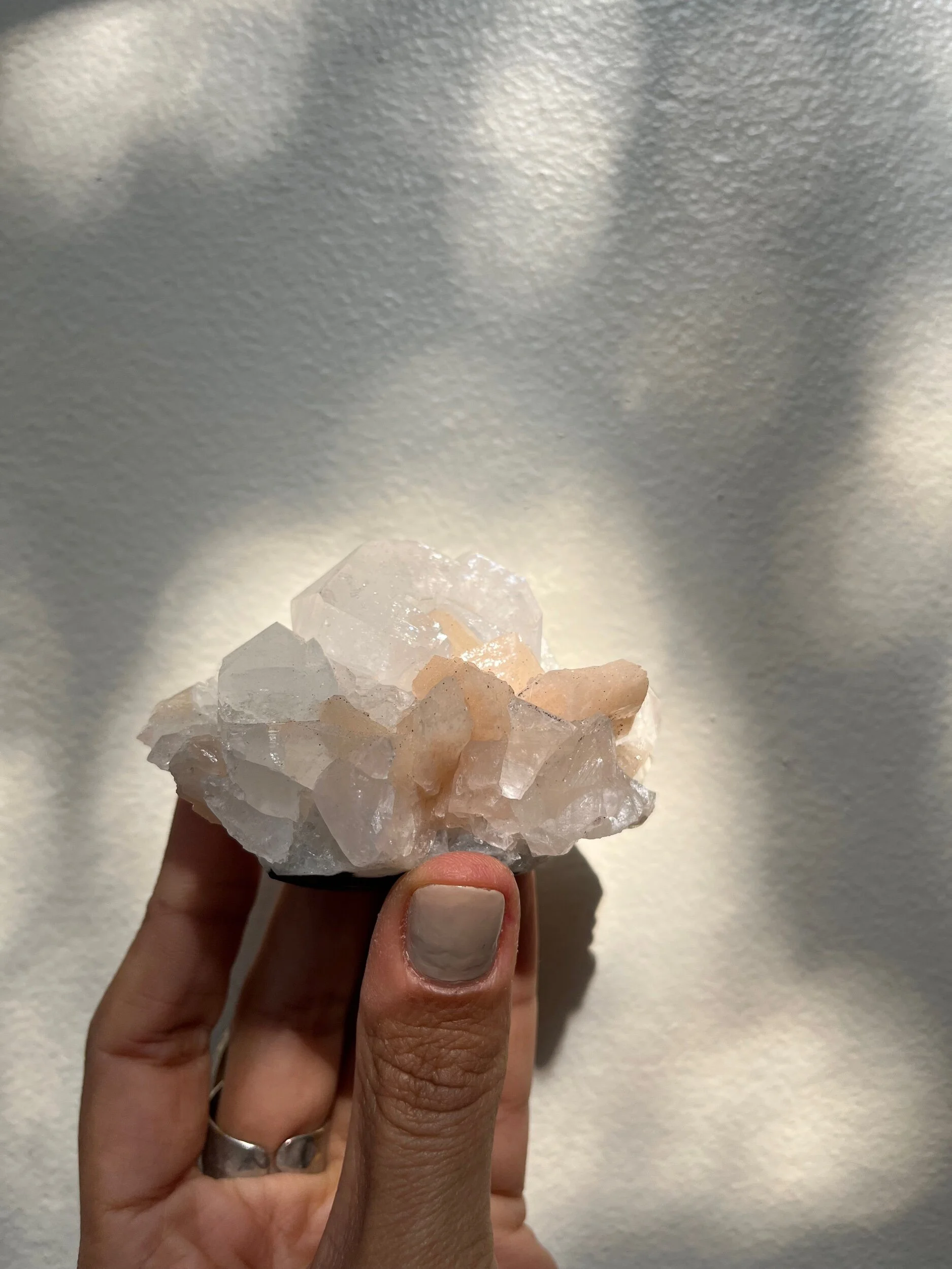 8AB08E56-063C-4E7A-ACDB-D656124AC048