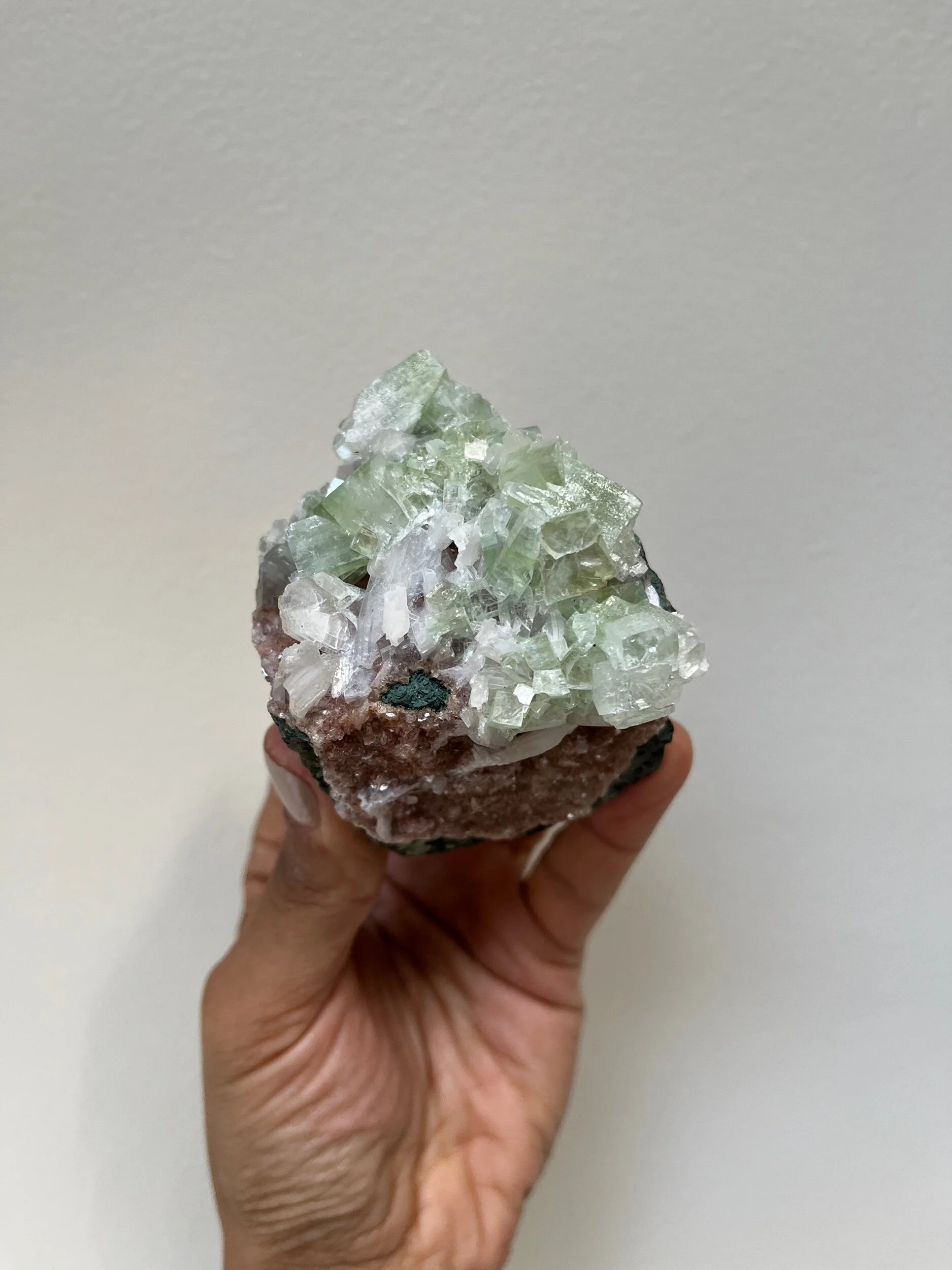 4C58239E-85F9-472C-AF59-D5BD8D6D8651