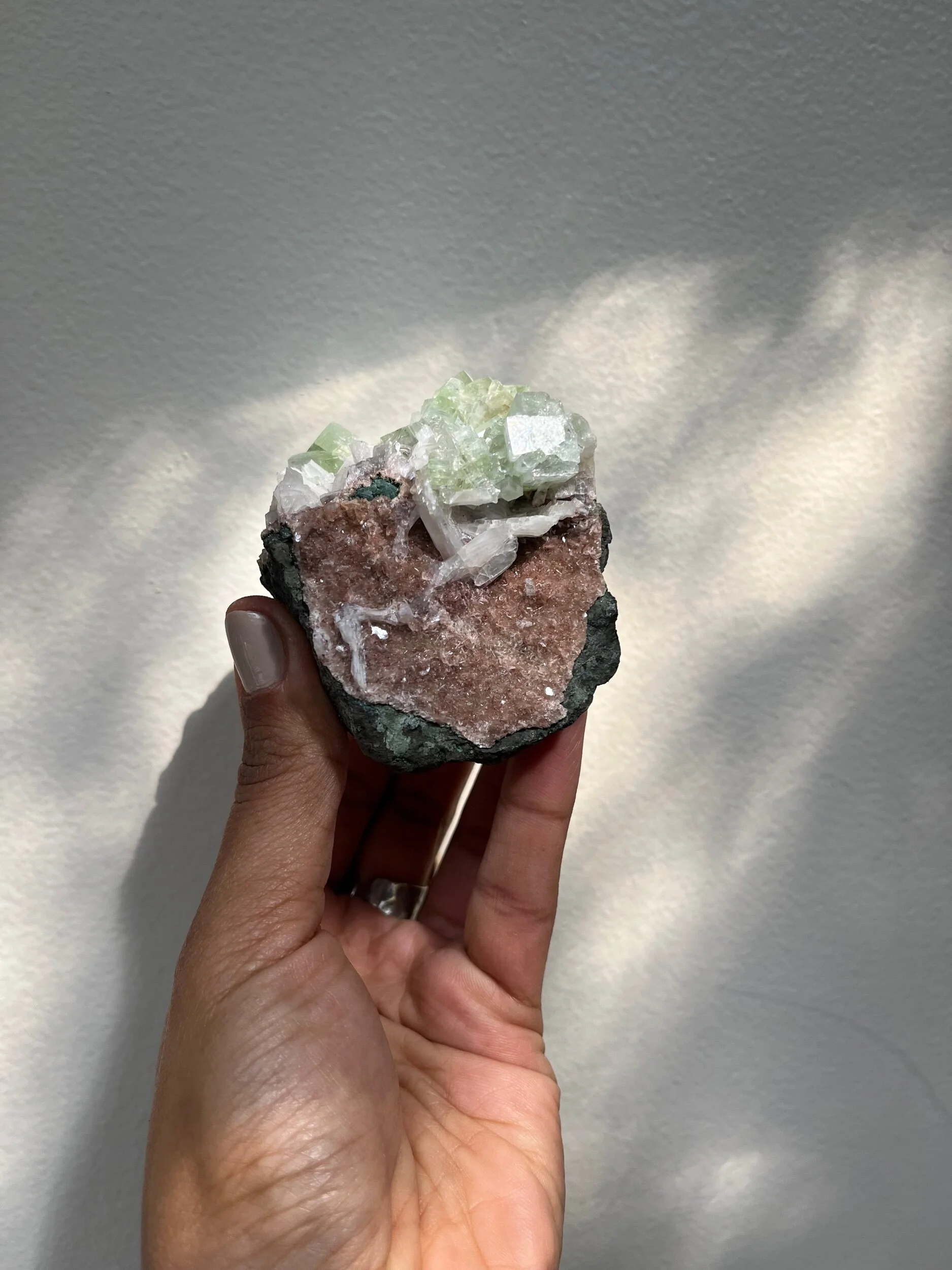 0534C2CD-EDFB-44C3-A205-FDCA01AC5174