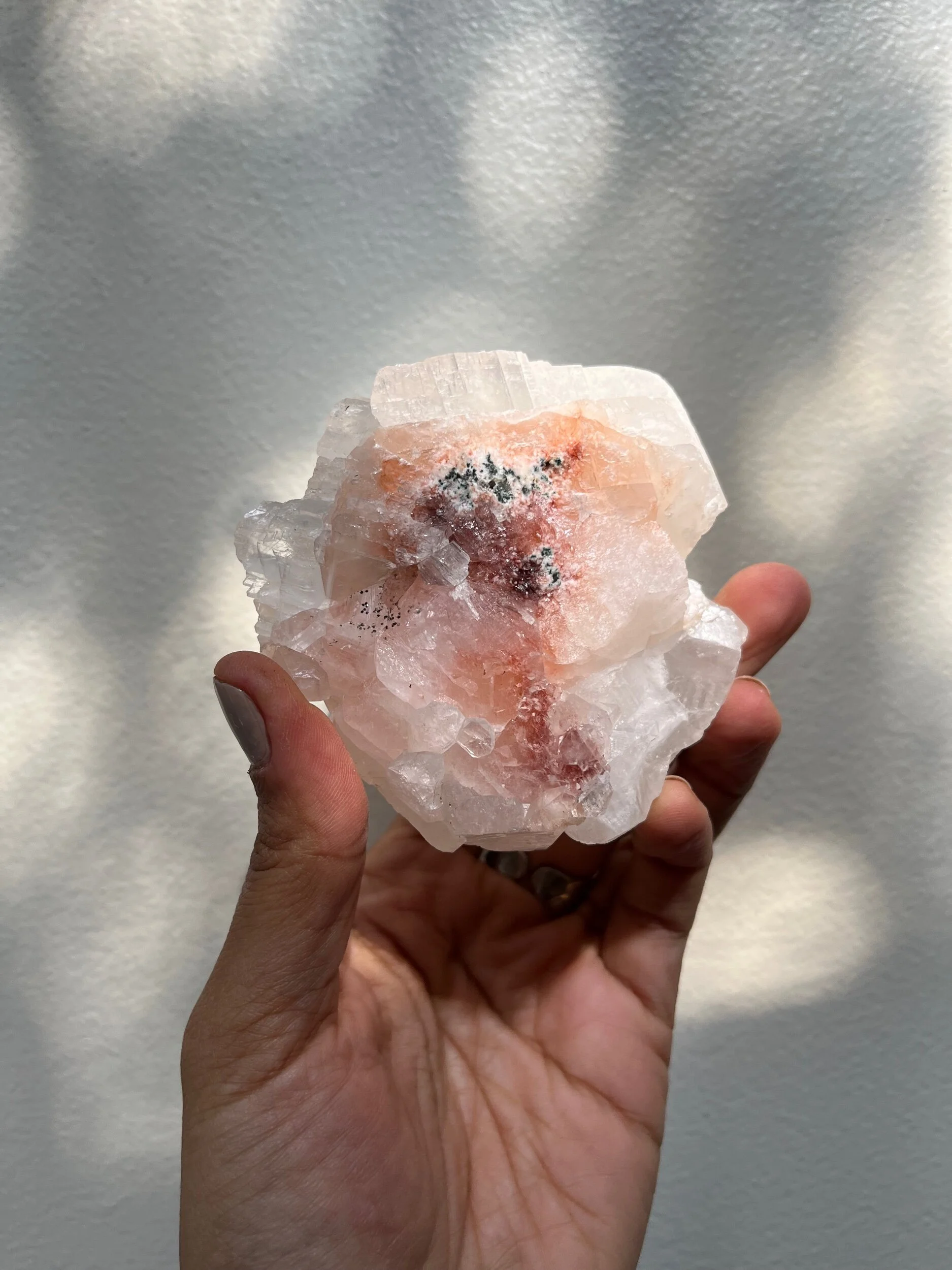 AF8A1ACF-F598-4F7F-80A8-76B8C2EF8062