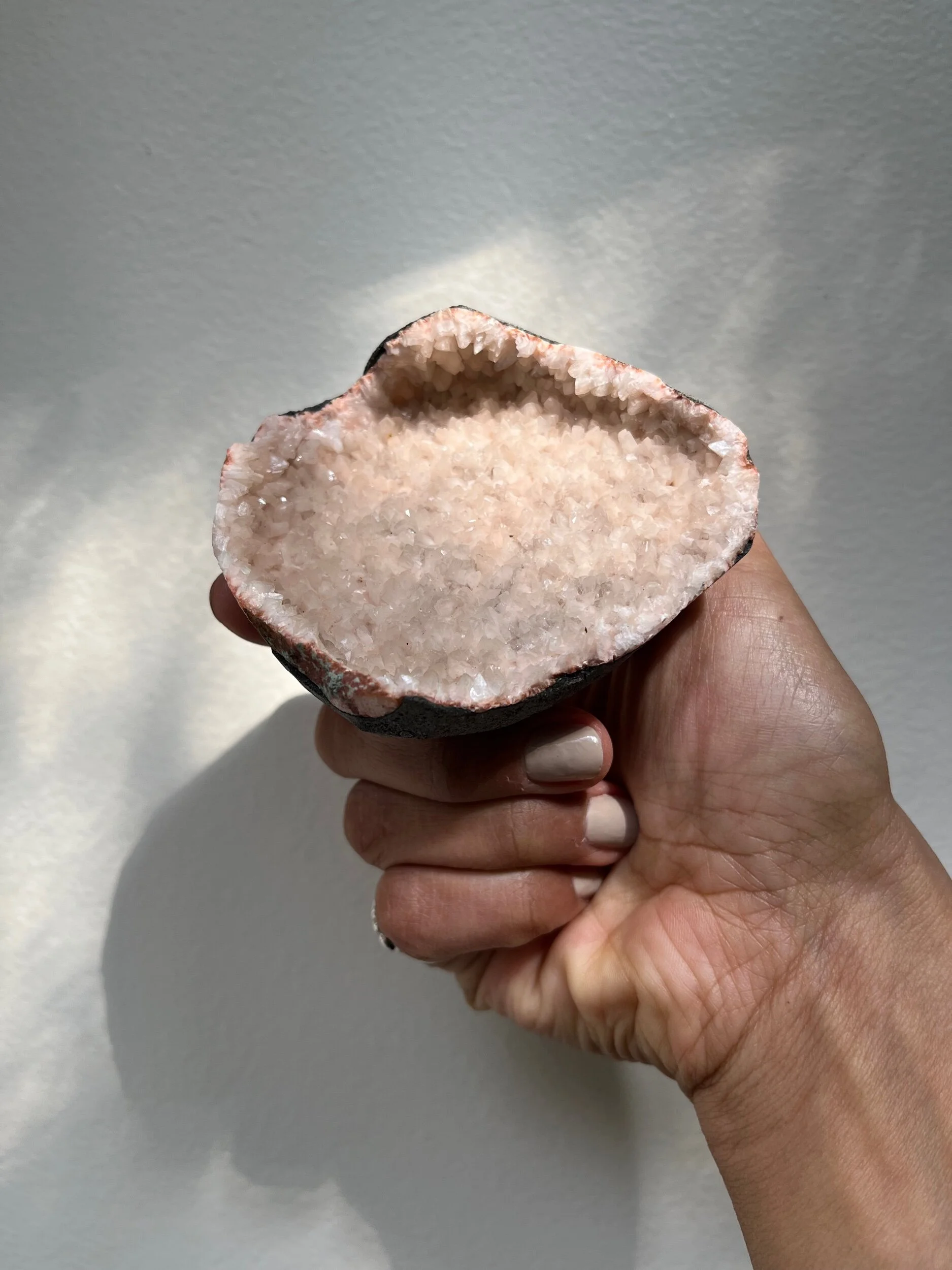 14EC28E9-E8FB-4206-8CEB-5A18FE5A11F1