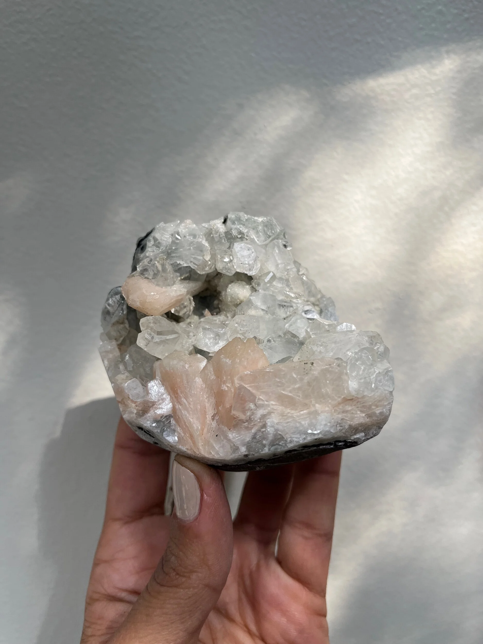 B21D8A84-15C8-4CE1-B4EB-E69A46C7F12E