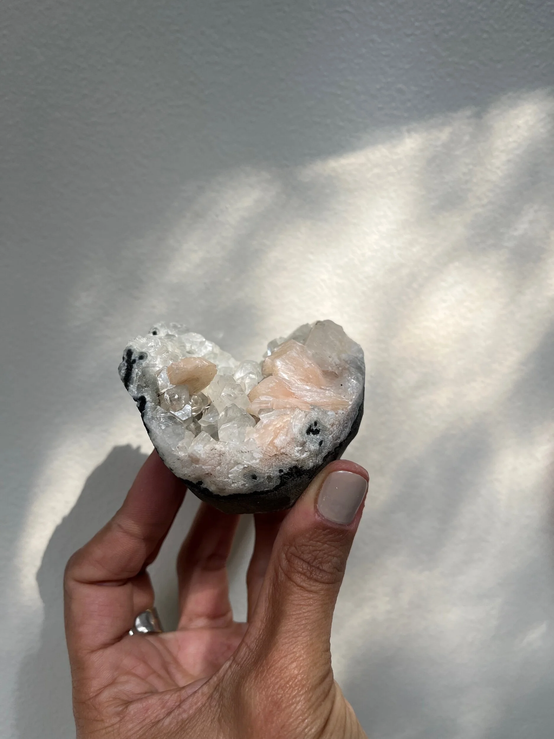 7804656C-E316-4724-BFEB-8502DAB9A57E