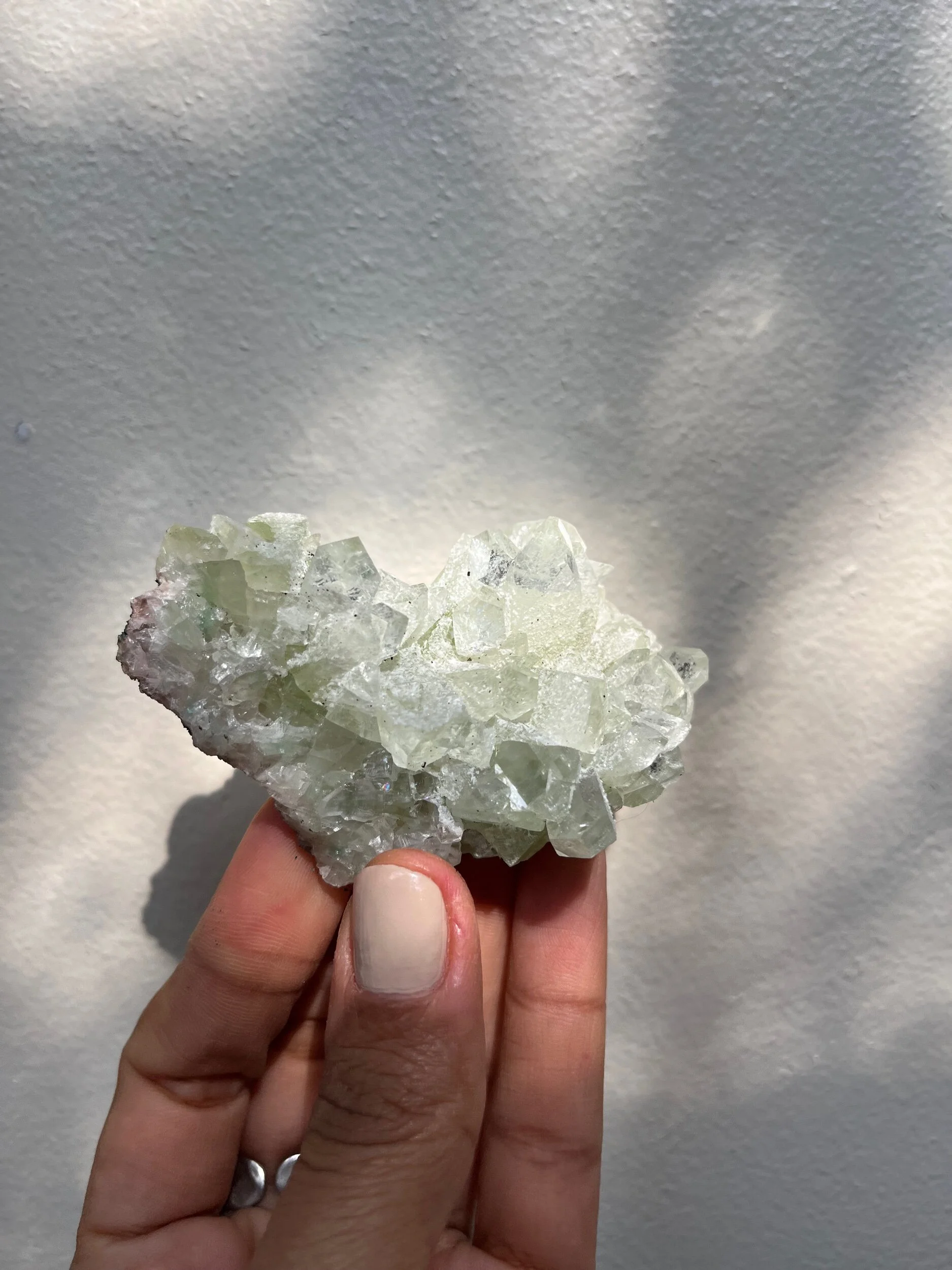 22920C5B-6957-4EC8-A03F-3B8217062B91