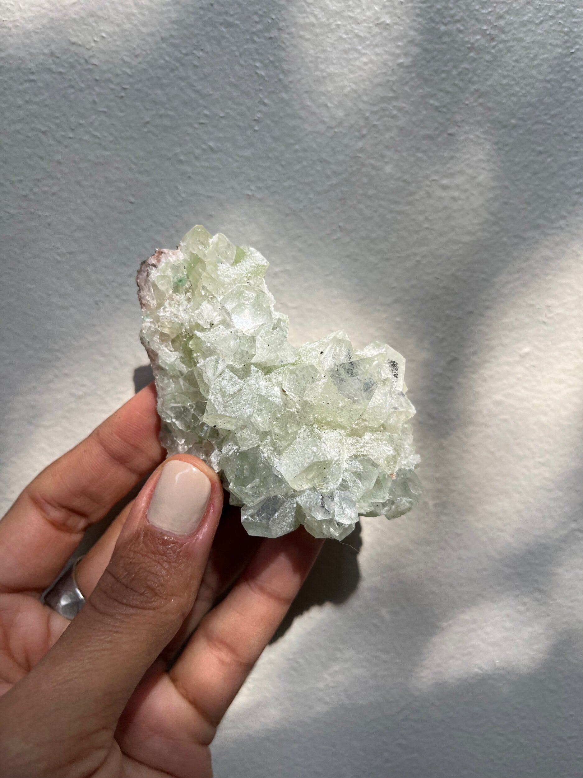 15D08FD8-8666-40DC-932F-4626E2100B48