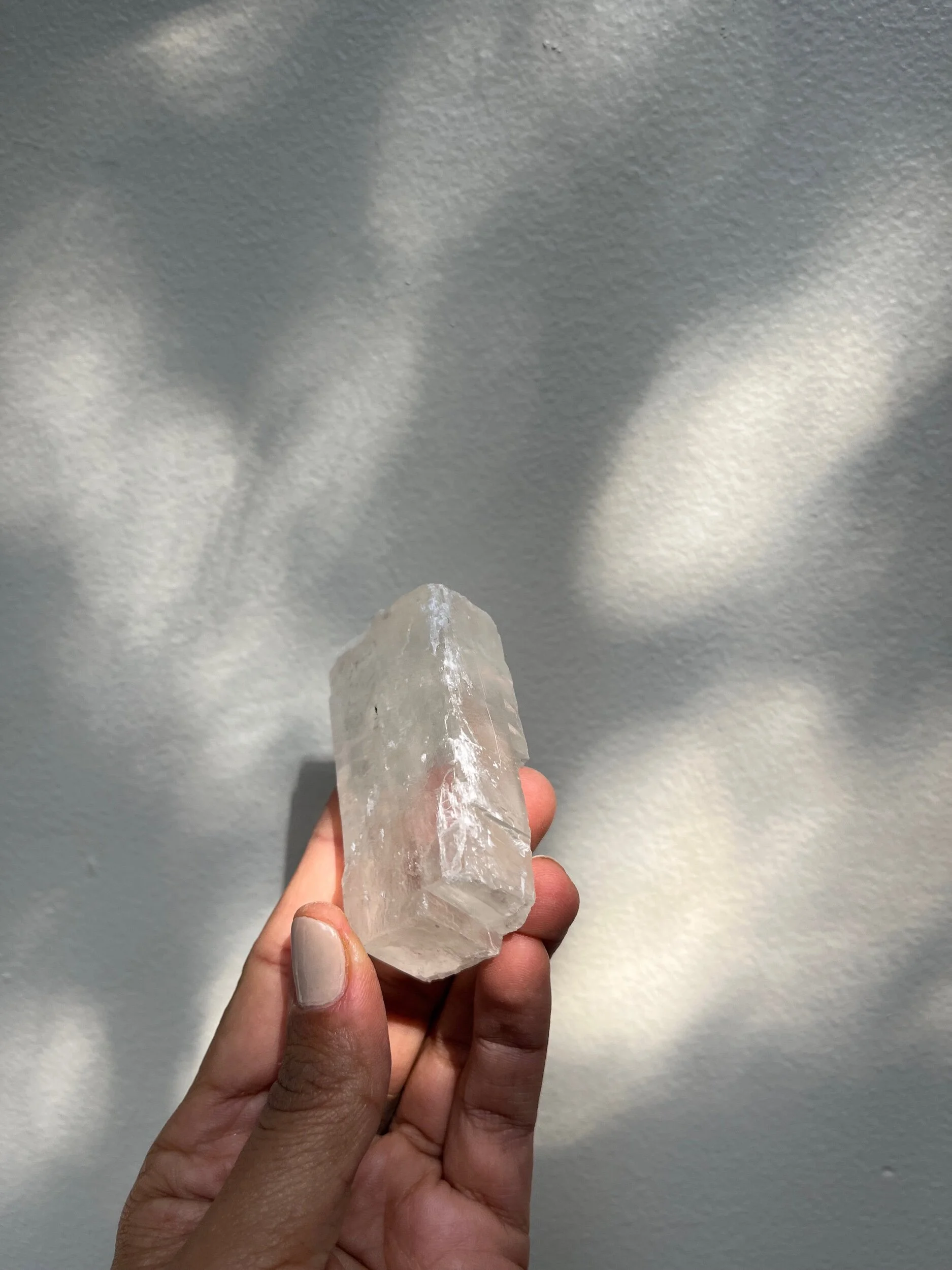 2D0269F7-3A5F-48A9-8A7F-D41628C60384