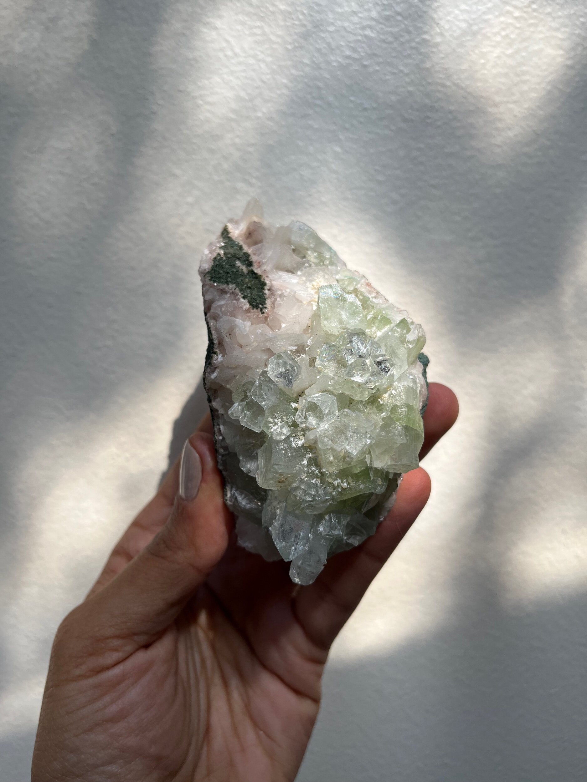 C1DB7566-8921-48B2-AD00-118D01C9CBFC