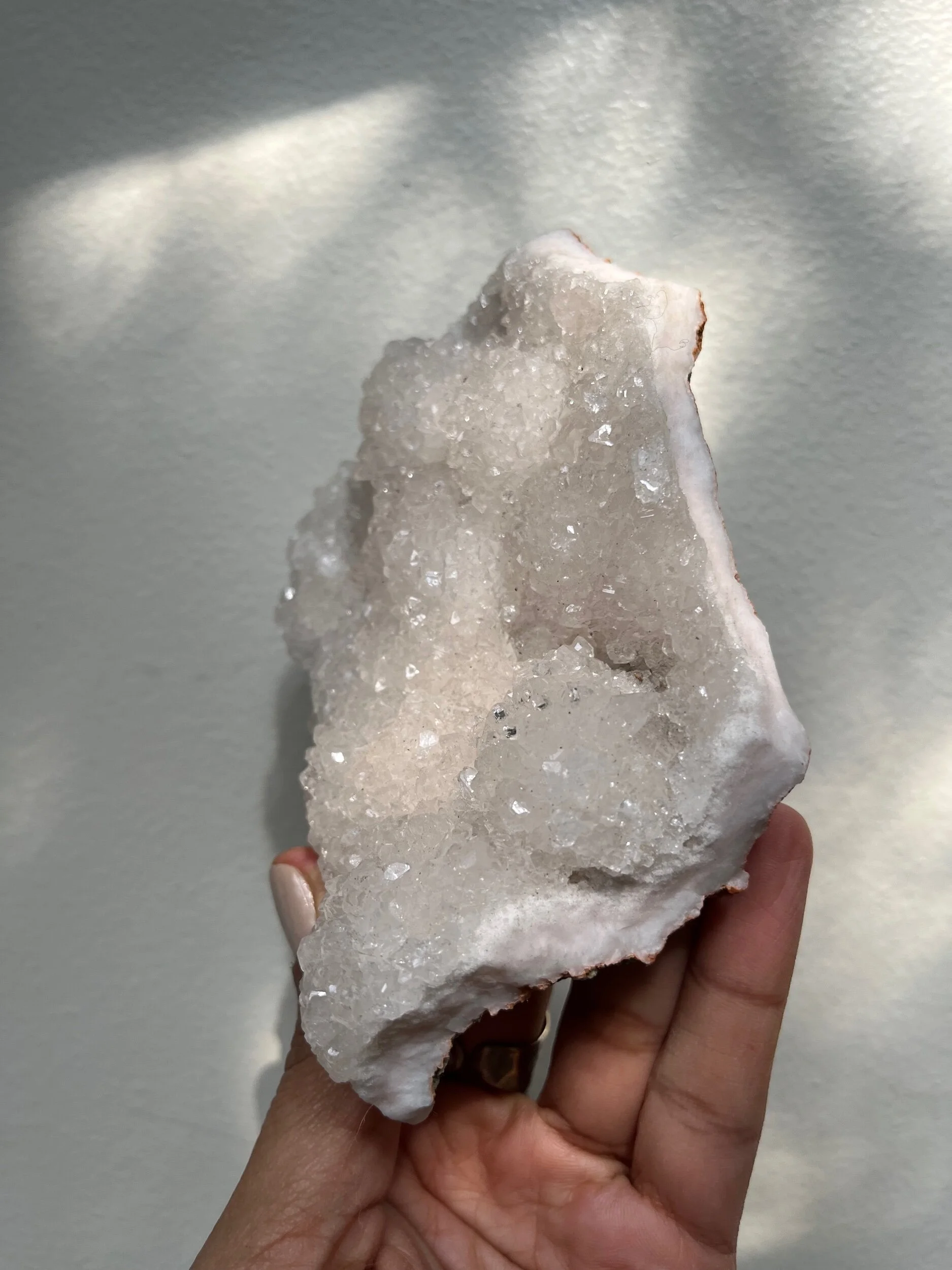 27191888-93C2-453B-AF64-A05F8F894D58