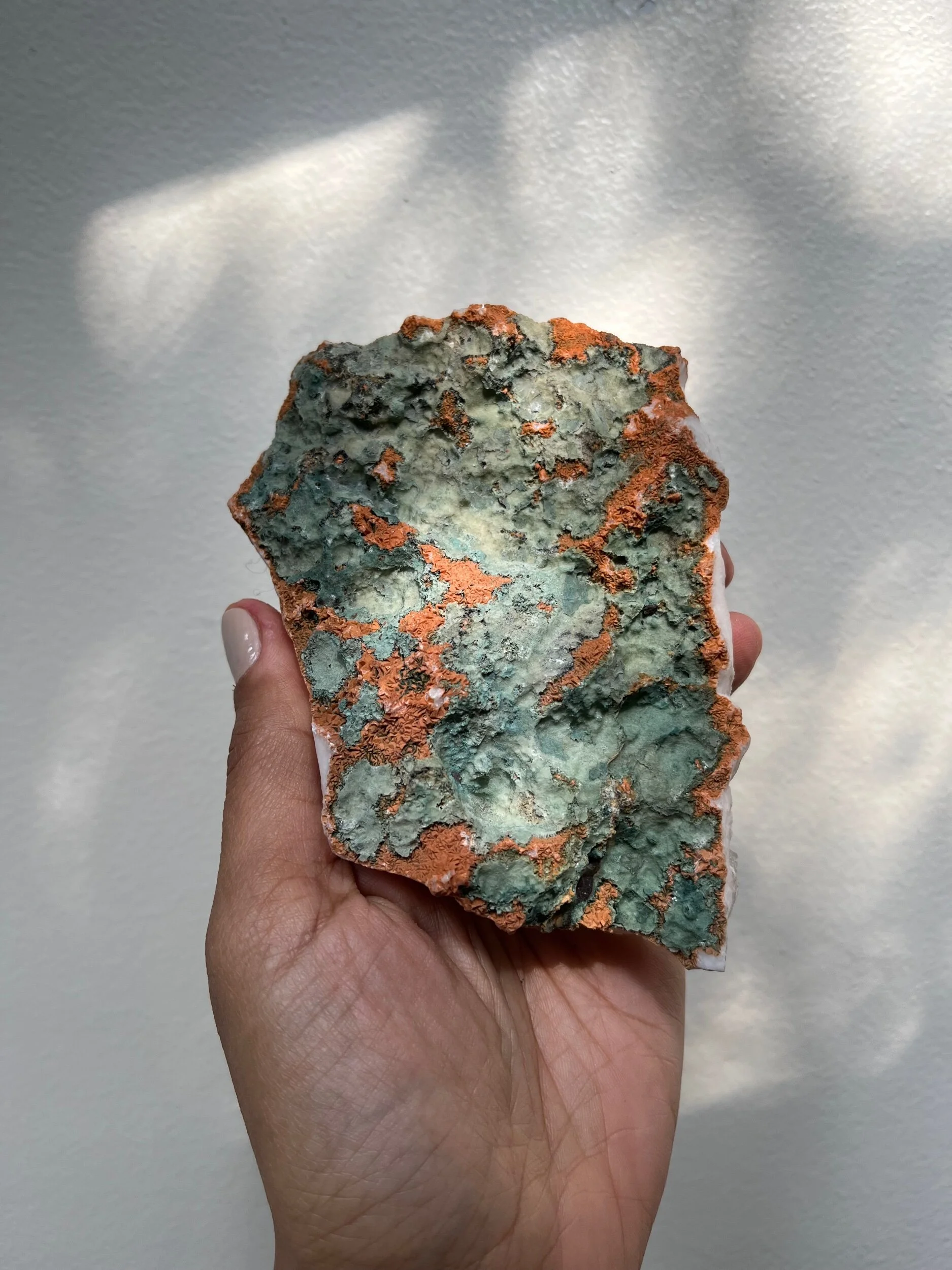 DDE6D0CD-A380-4EA6-B9B2-E746BDFD797F