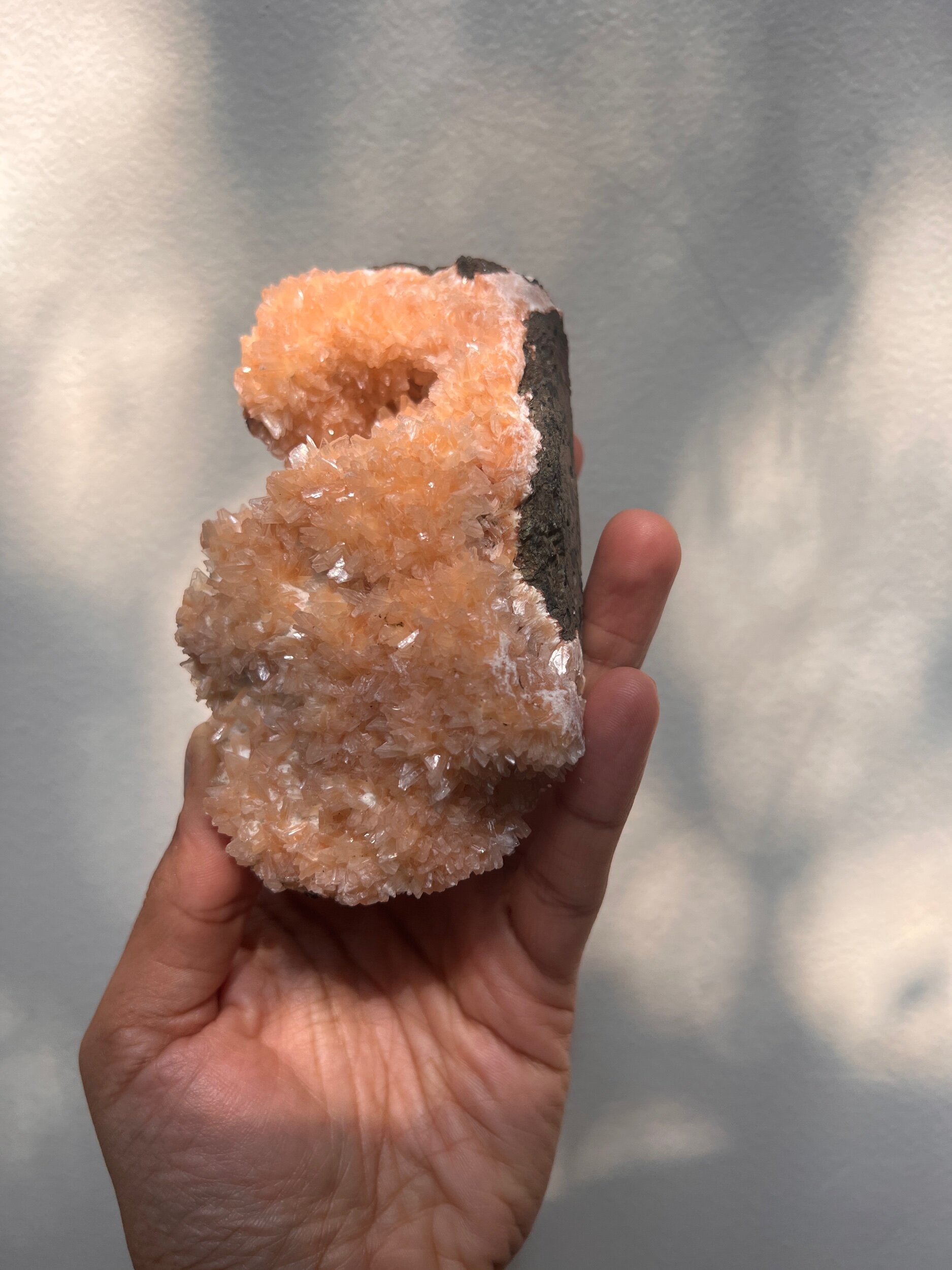 5CC26DC0-CE3B-4EA6-8B6C-87D2C335838C