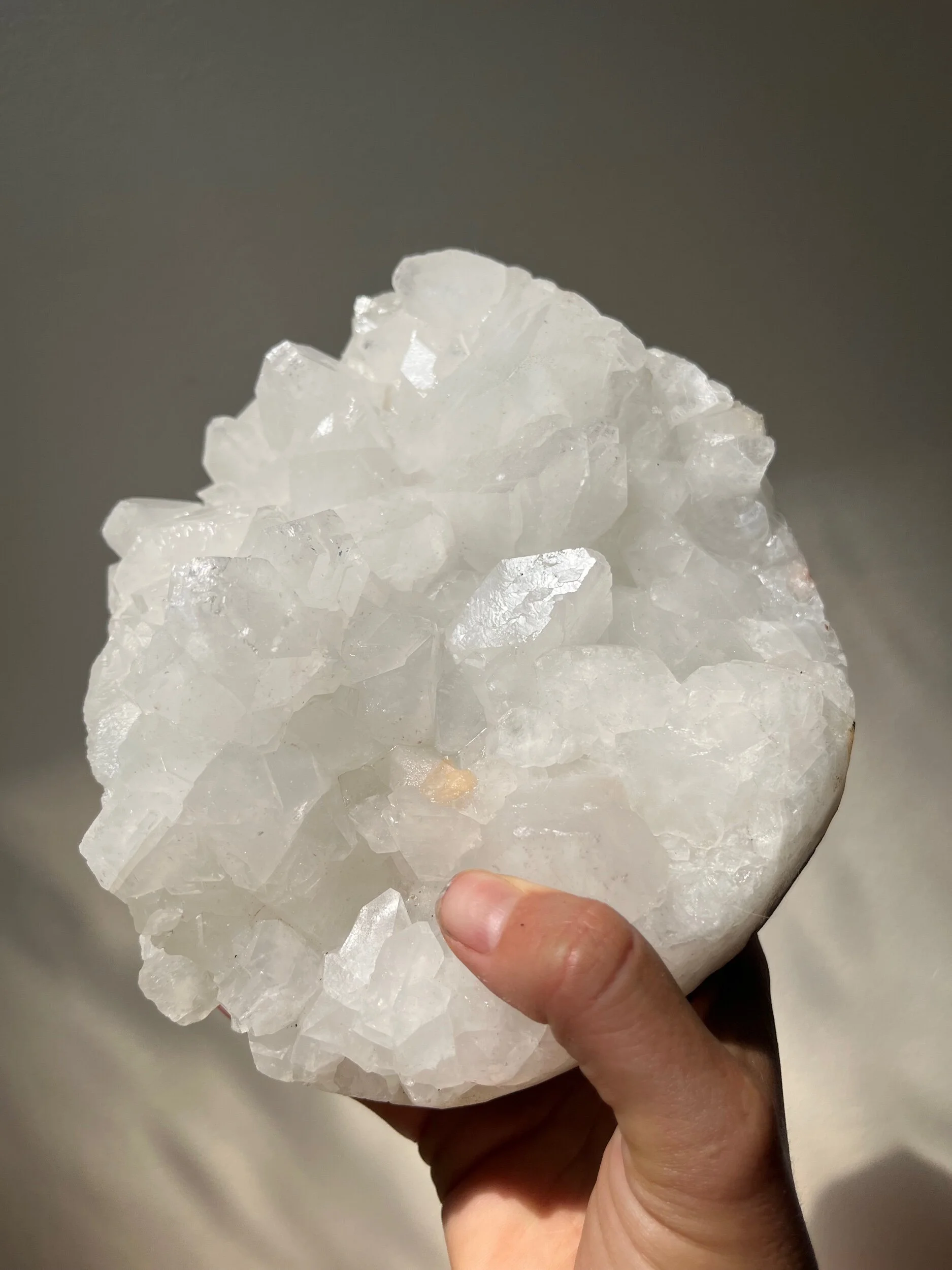 D94851CD-A662-4AA9-B26D-FB23C9FB6FE0