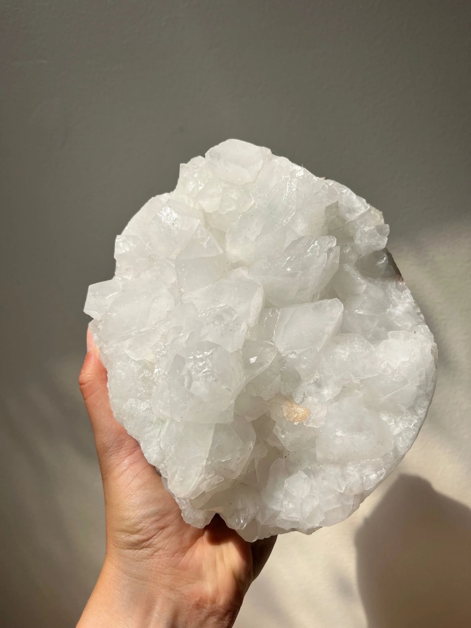 D4112021-94D2-48EE-B928-A36322A11FF2