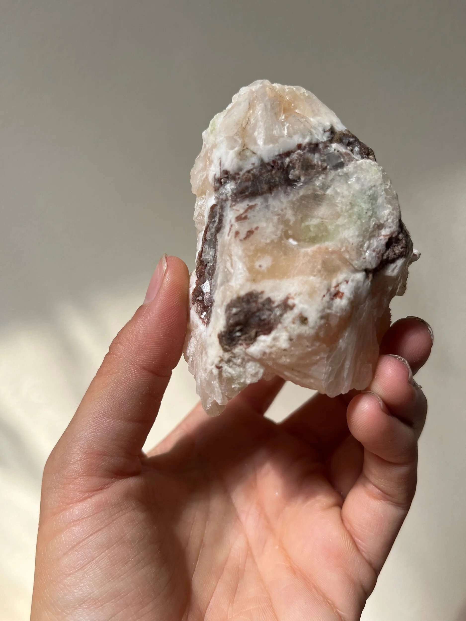 DFBB9B57-13C8-4A88-9663-8ED89D5F86D9