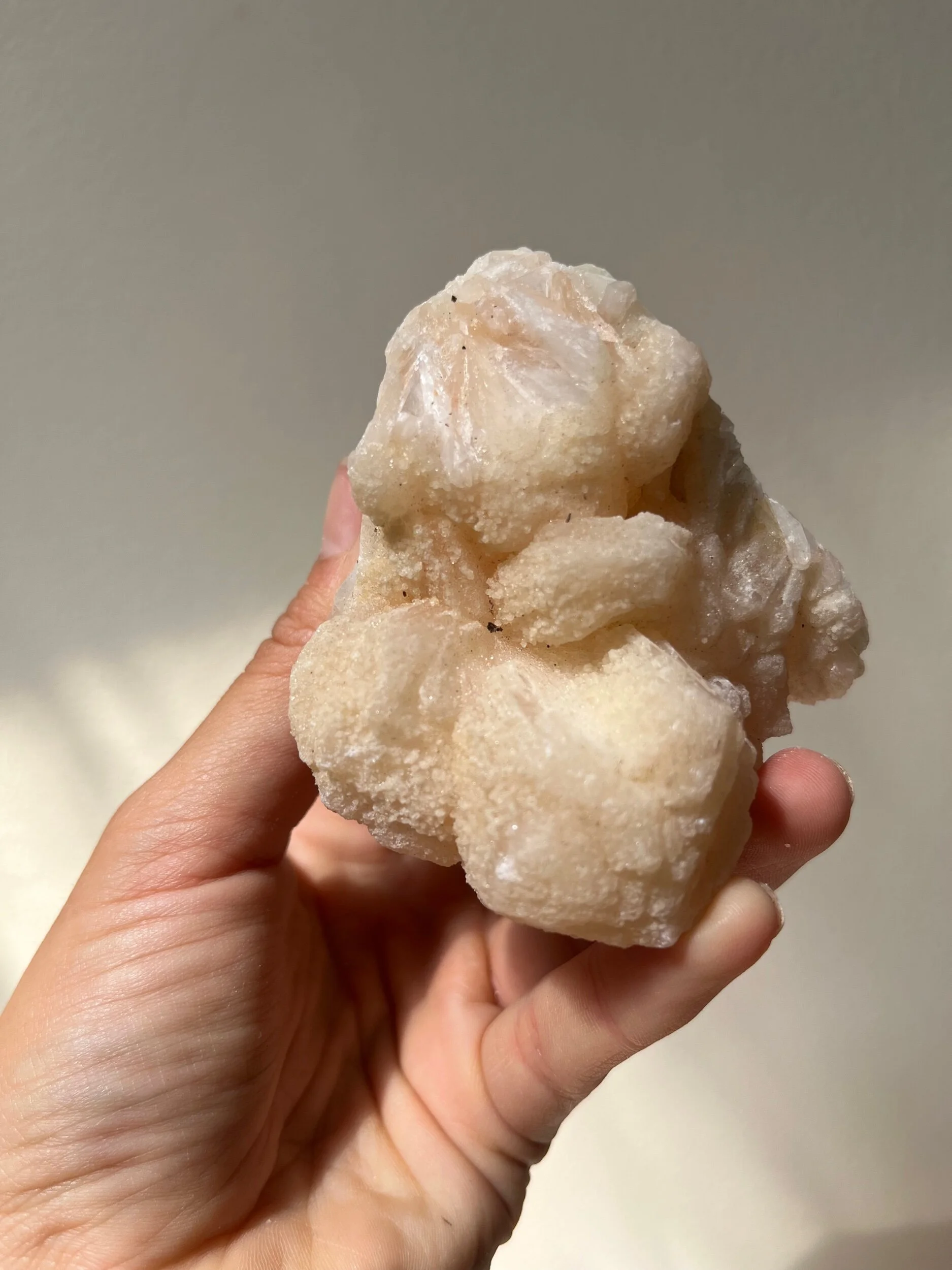 280899B0-DB92-43E5-8947-EC8EC43846E9