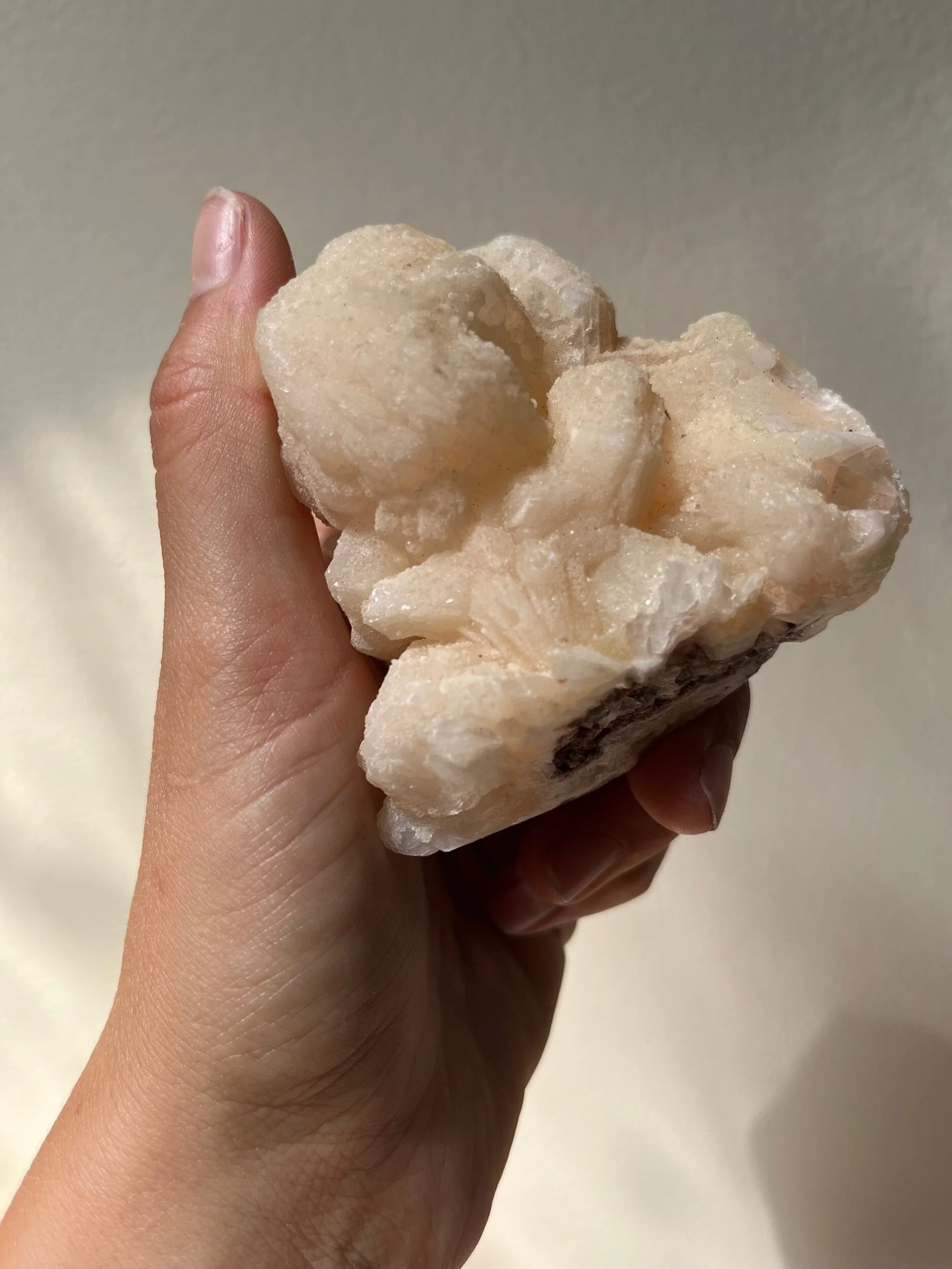 E9486ECD-7894-40A4-8335-85CF4670B9C3