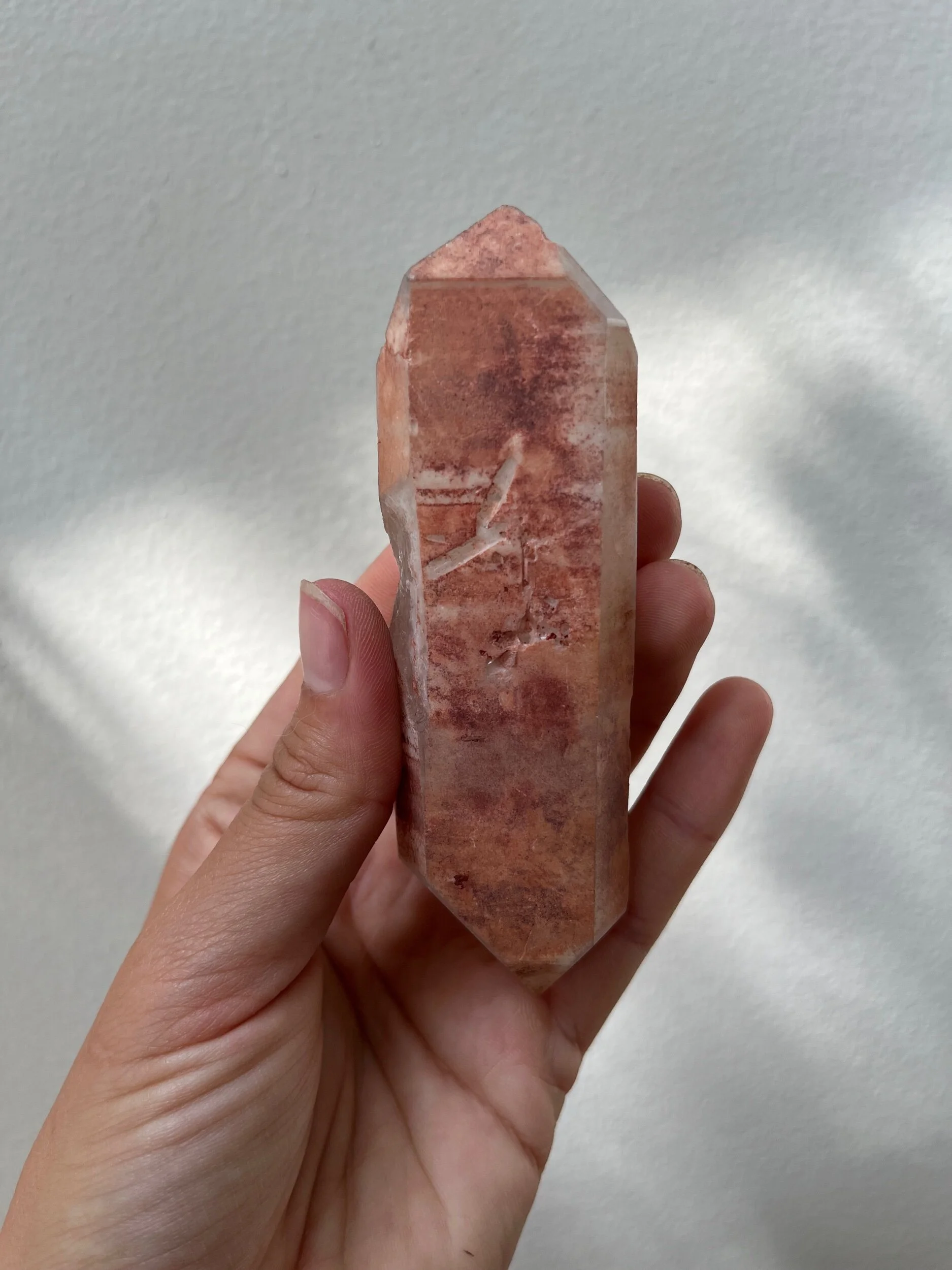 8B39602E-A18C-4C5E-ACB3-F70CF23200EB