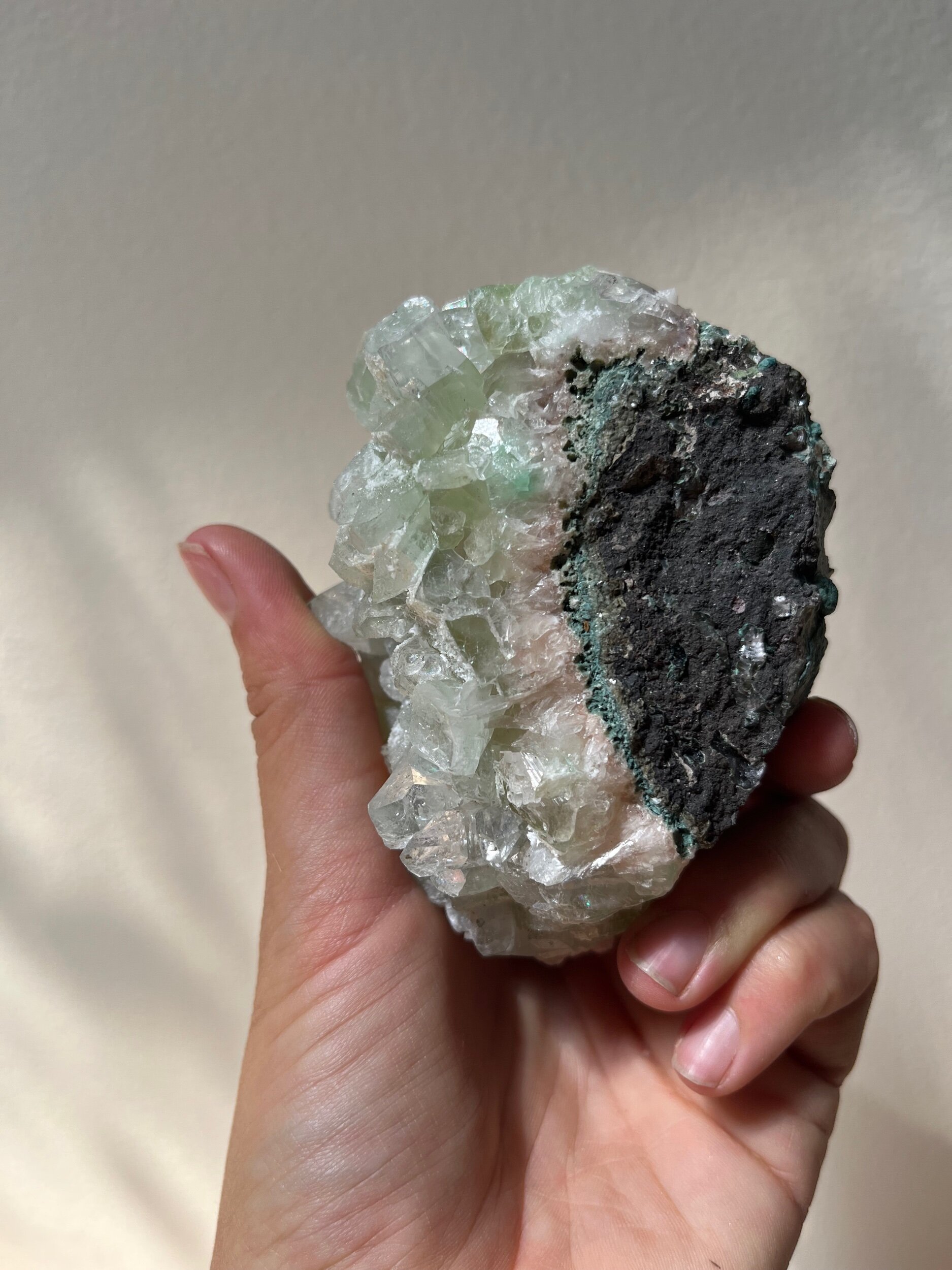 F16ED146-B3B2-4B33-8C1F-AE4315683183