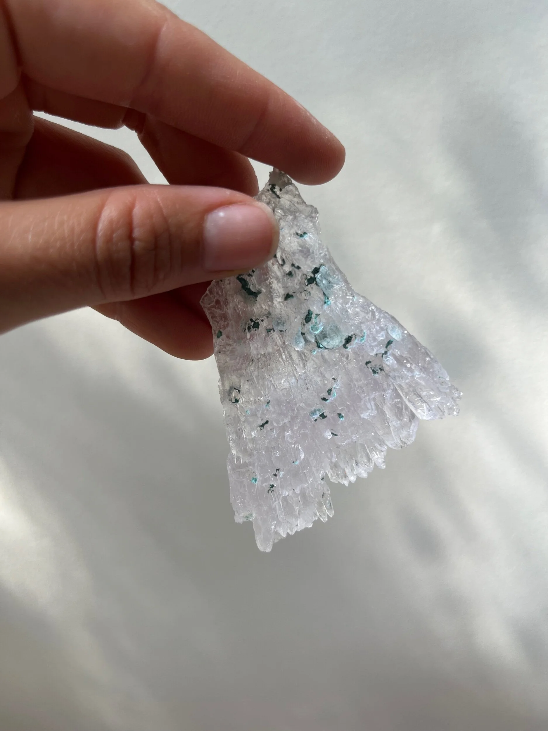 7F6BC1B9-5955-417C-B064-8EB766E32927