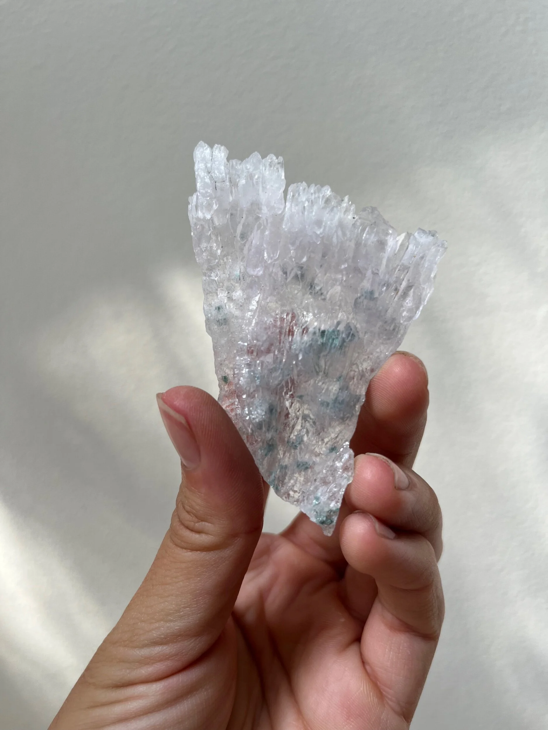 D8A0977D-DCCC-4D55-A397-800C859CFBFC