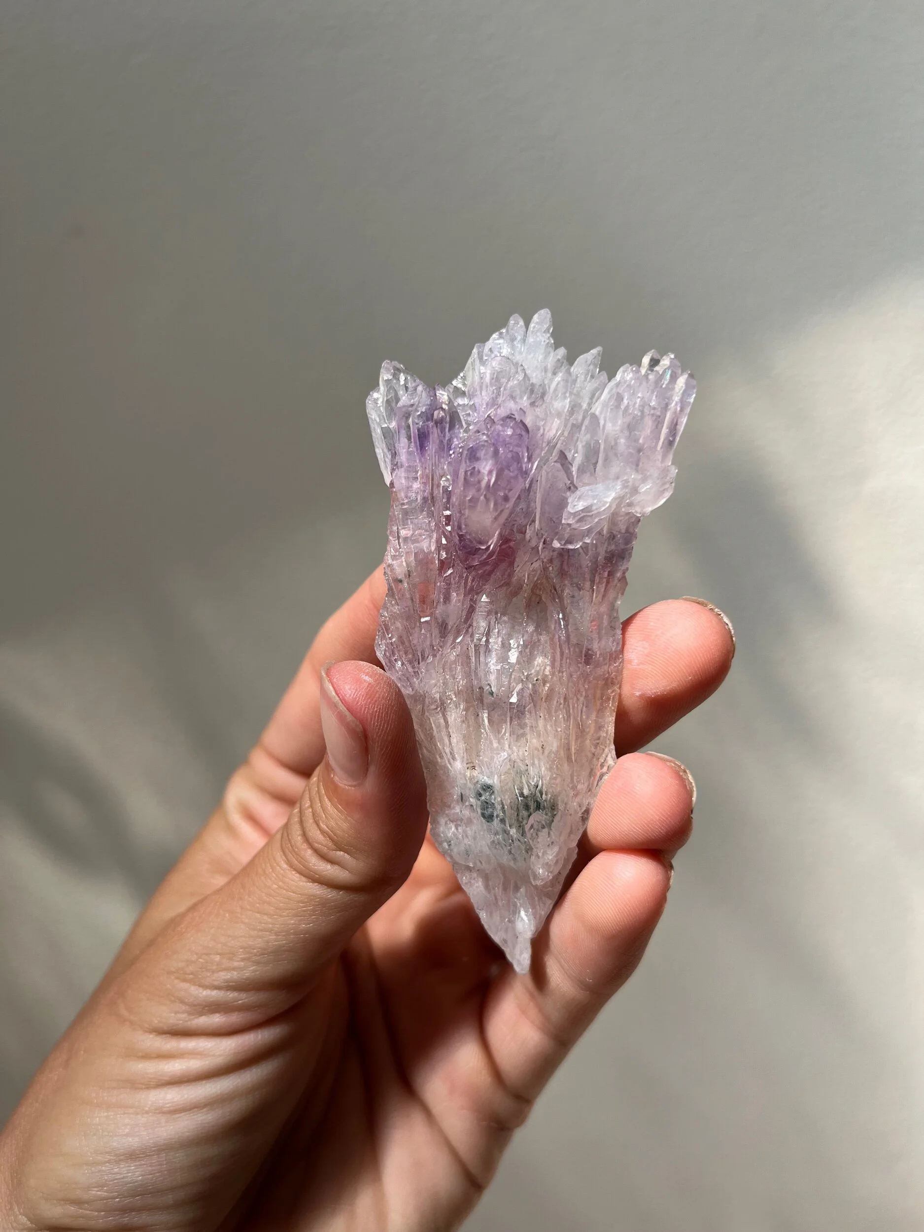 00AFABDB-C832-4873-A91E-168AD513718A