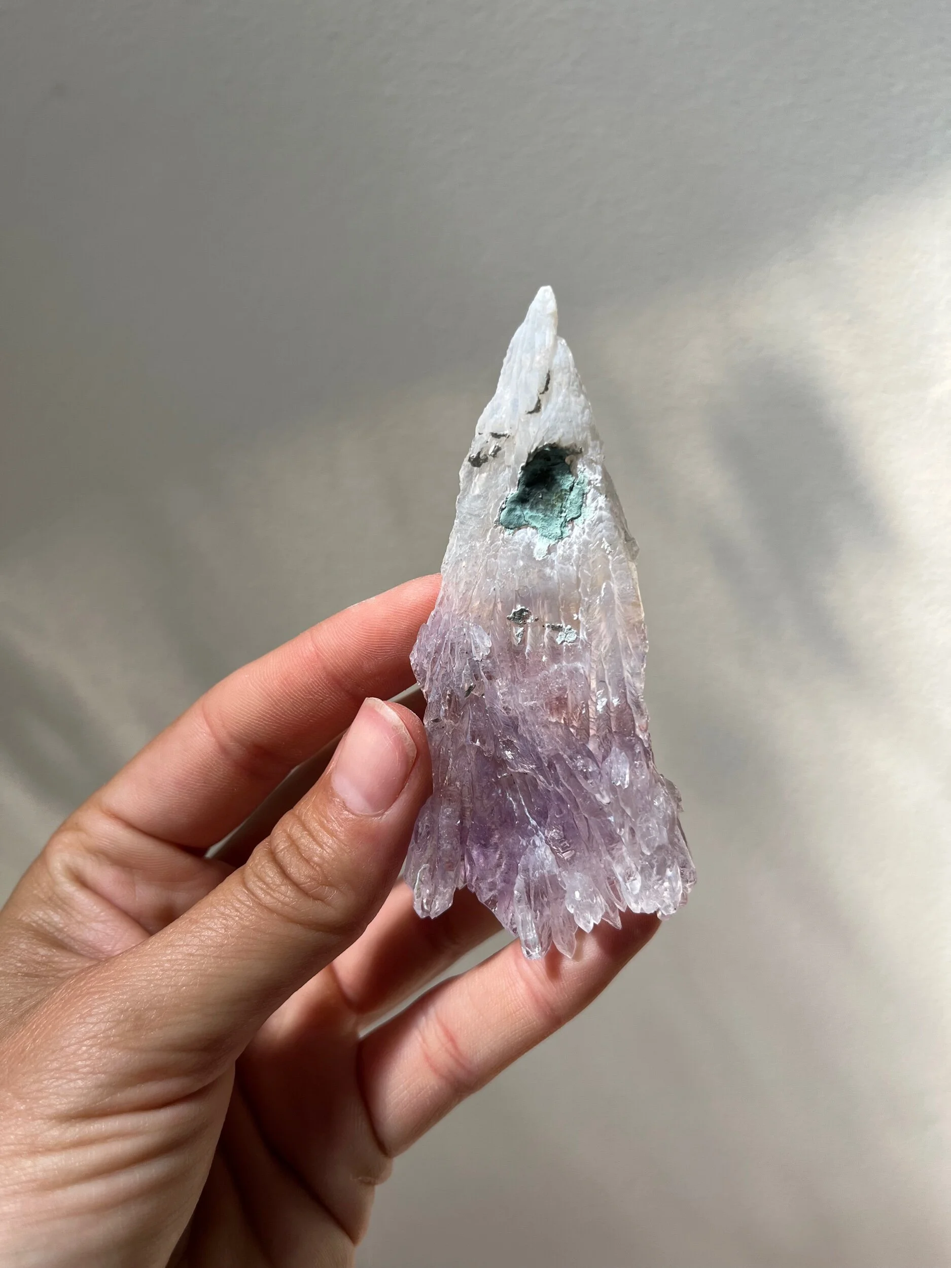 D3BA23C3-46A9-4330-AFD7-0EF461B3D9A3