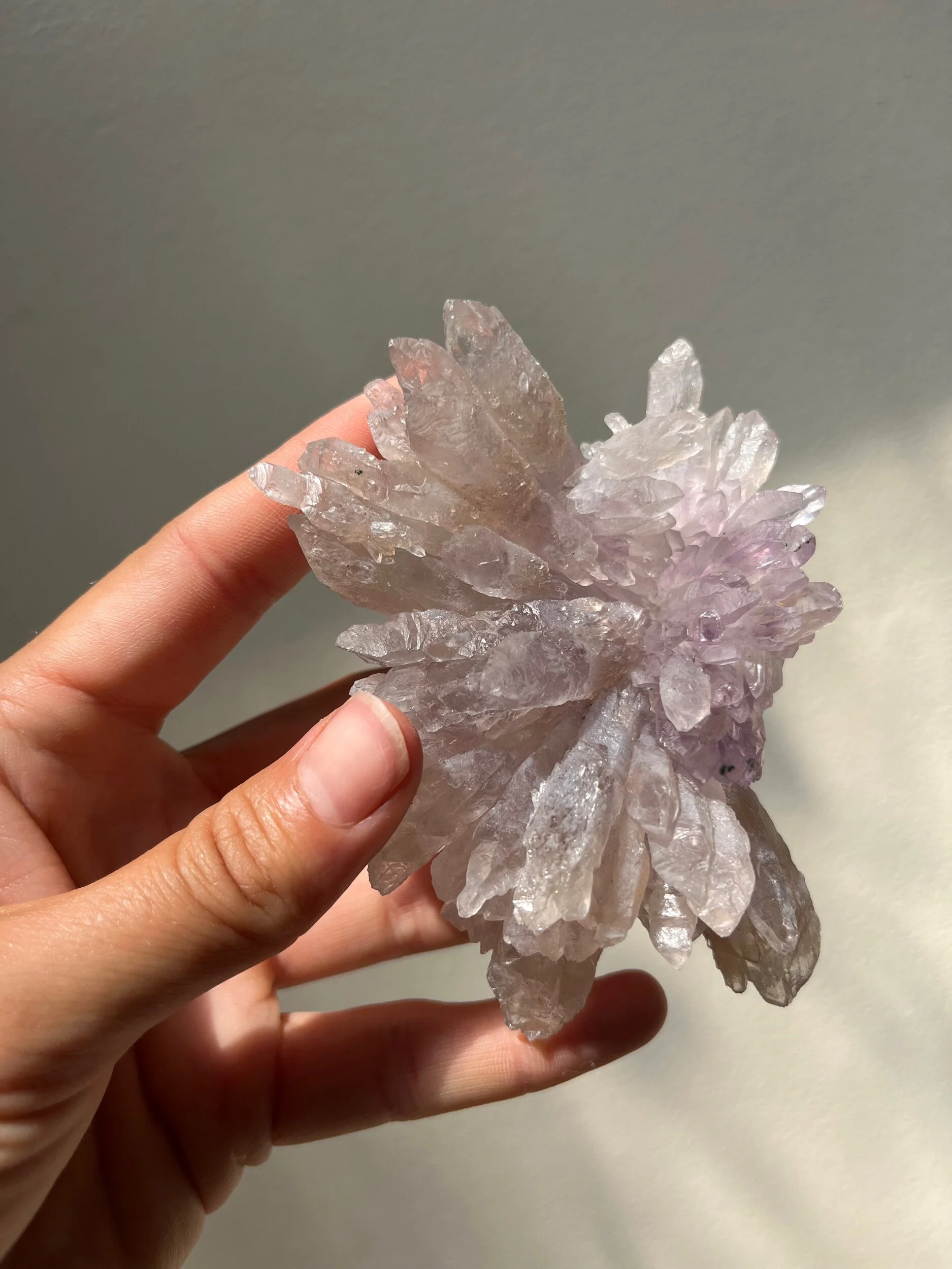 BDE74DC9-6B8F-4CC7-95EF-BF3F18344B44