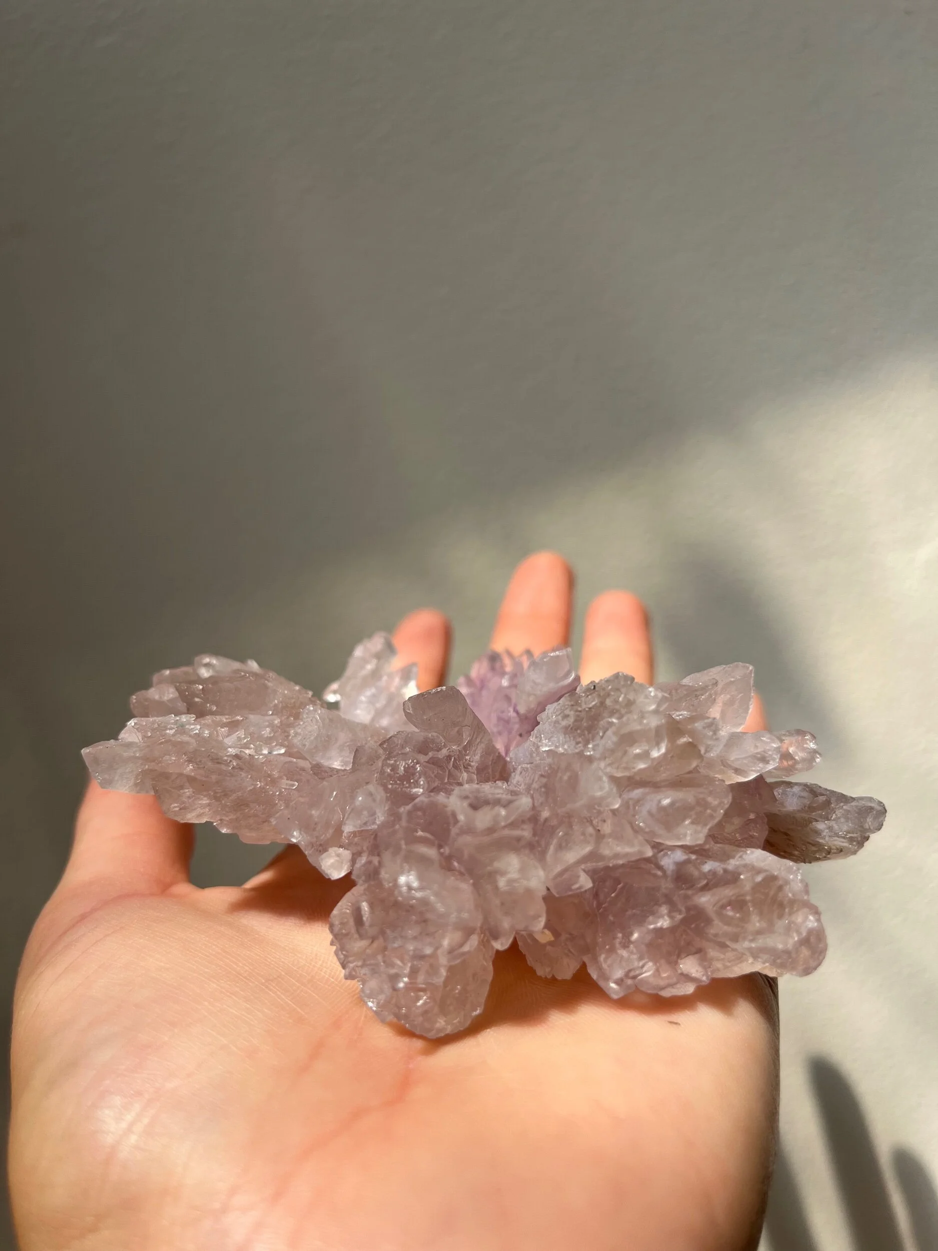 8B214A7A-ED1E-4955-ABA6-696FCE7B4E16