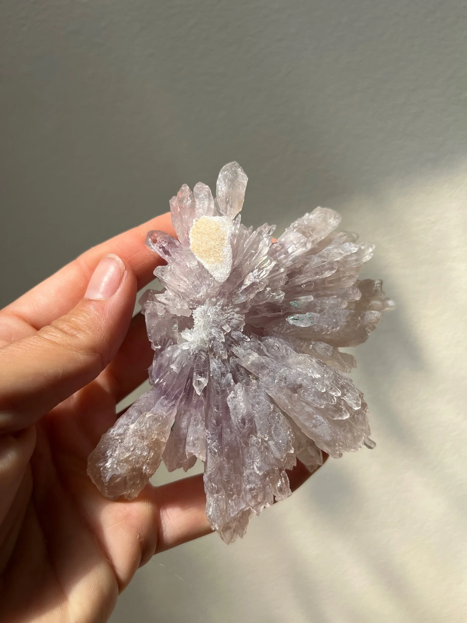 17F85F37-99D9-462E-A978-299D83A4C3F1