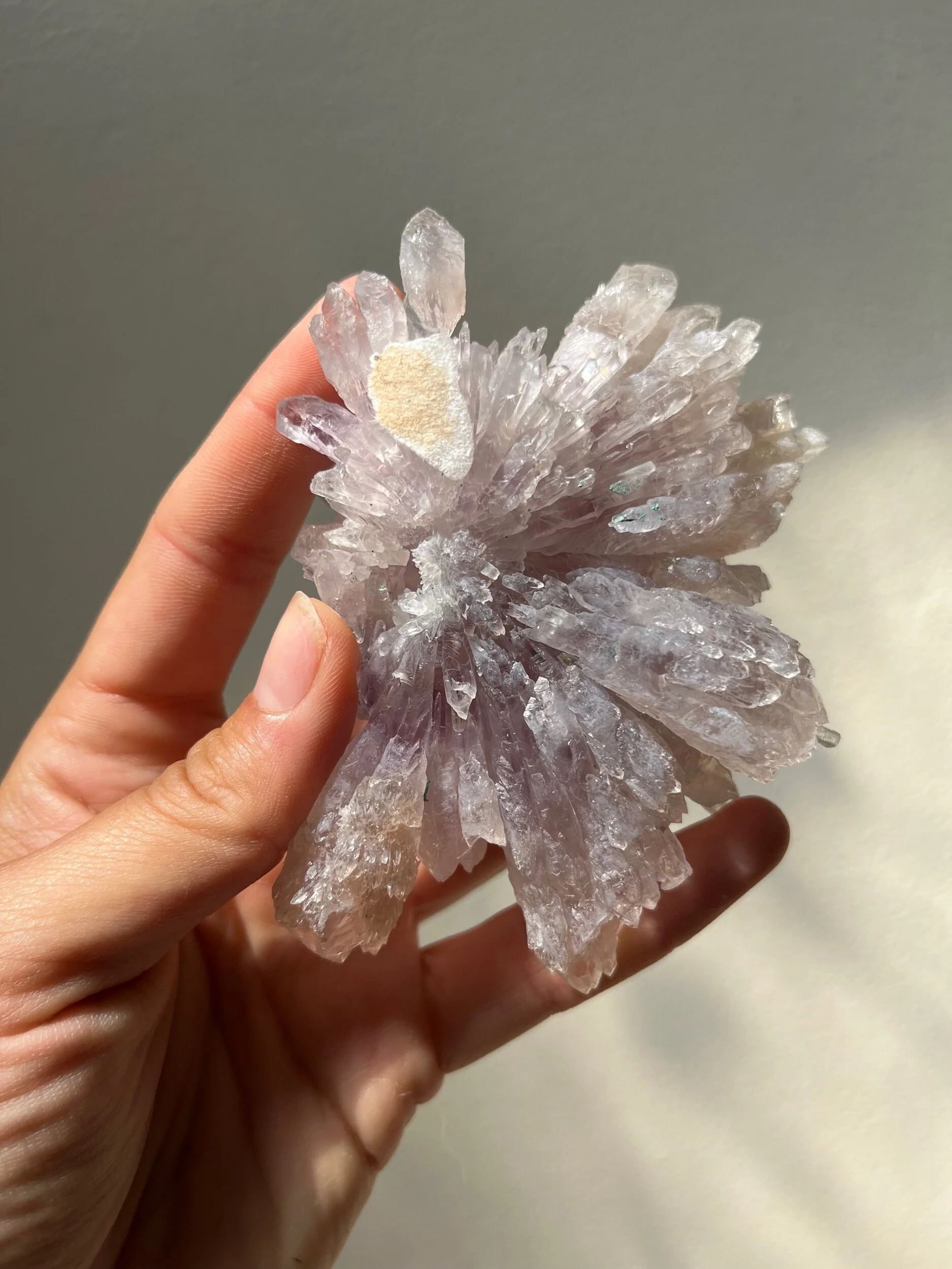 A52B9094-0090-4C18-9BDF-17A803C5DF9B