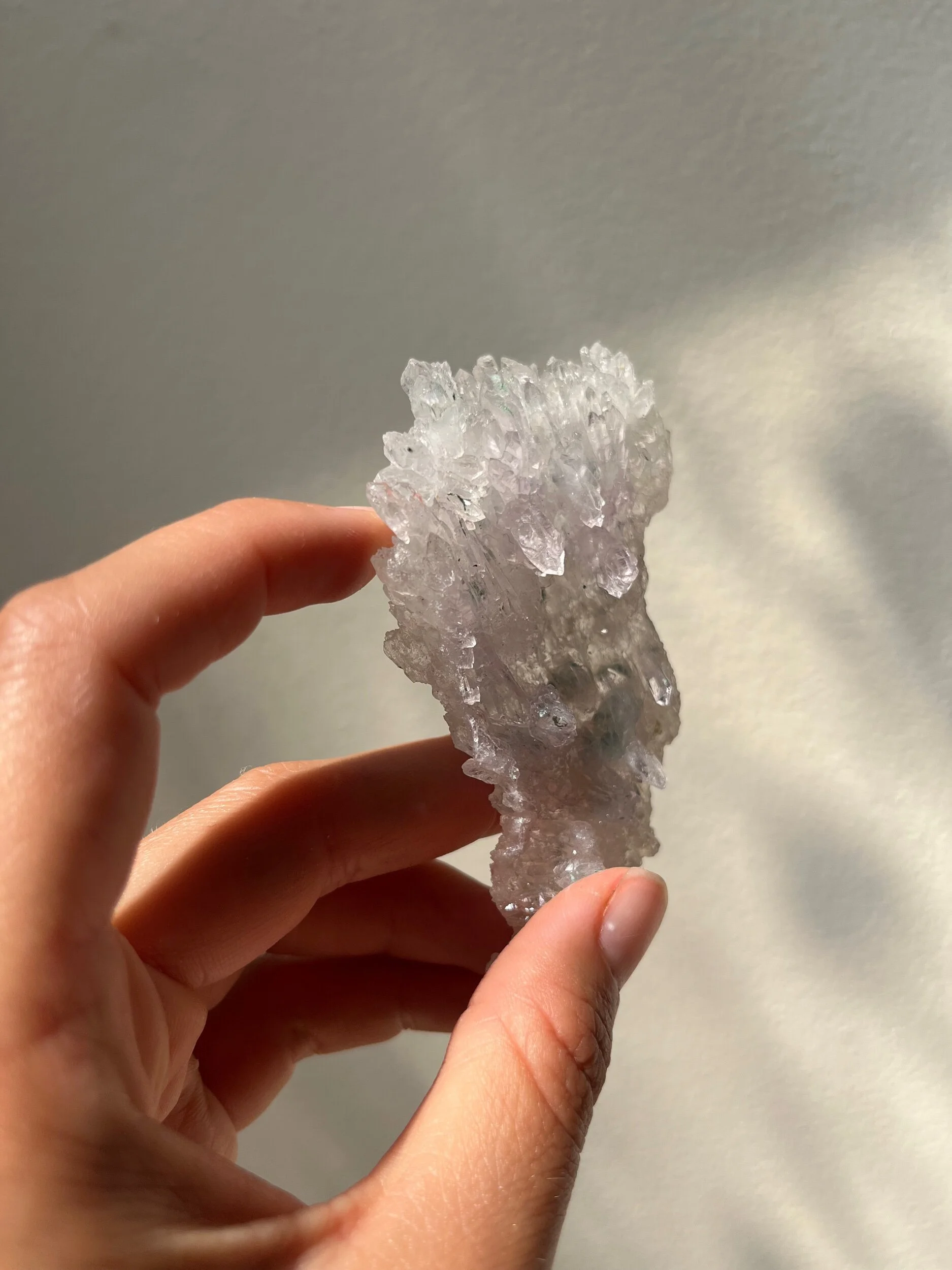 2C2C7762-50E2-4AAF-B0B5-A2FFF09D2B84