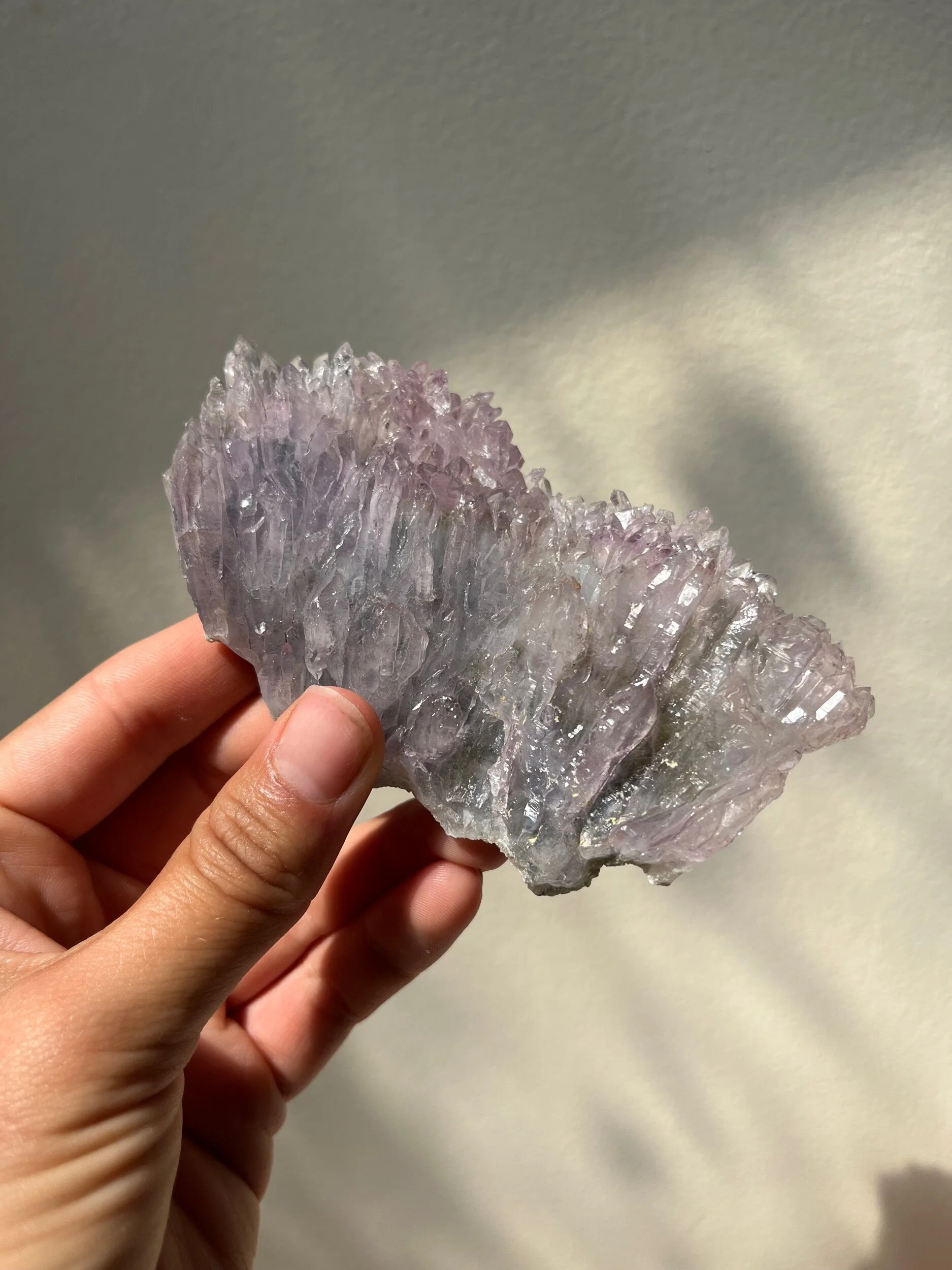 B5C44521-0597-477A-B446-9A1EA6547EE4