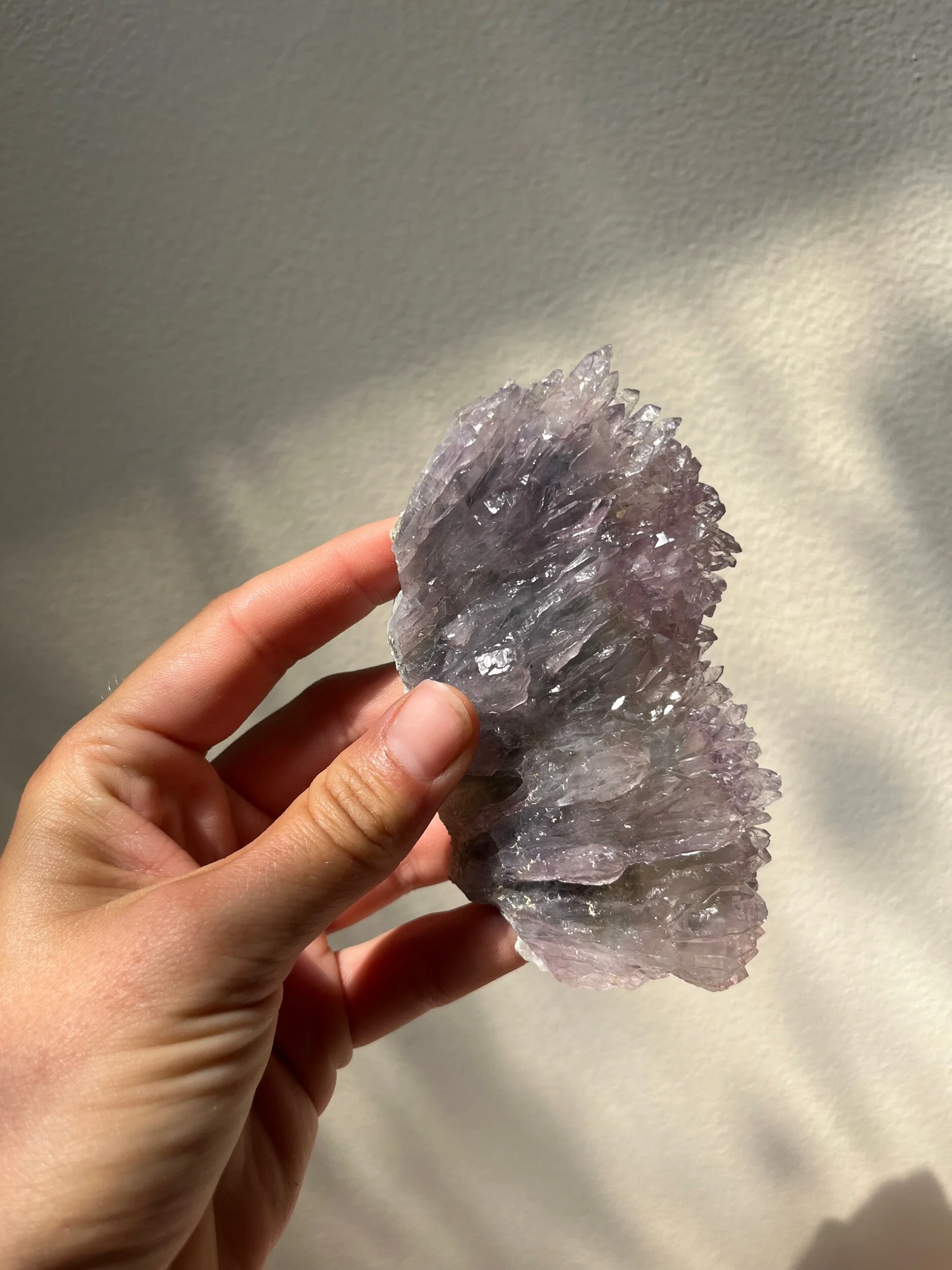 FC800877-9C98-4B5C-9123-8DFE65AC314C