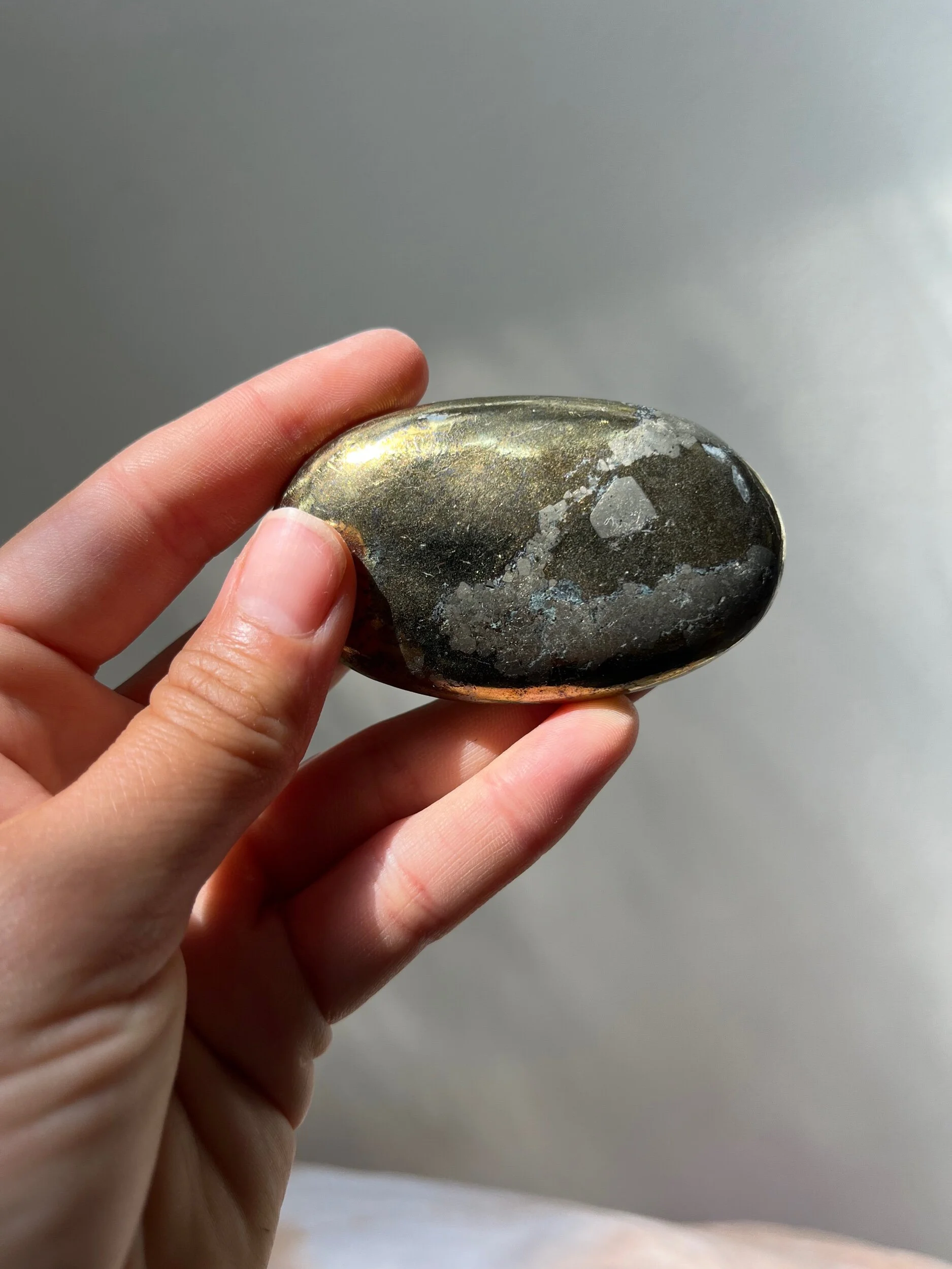 FF59DCE3-7526-4505-8DE9-9A95BBC3F98D