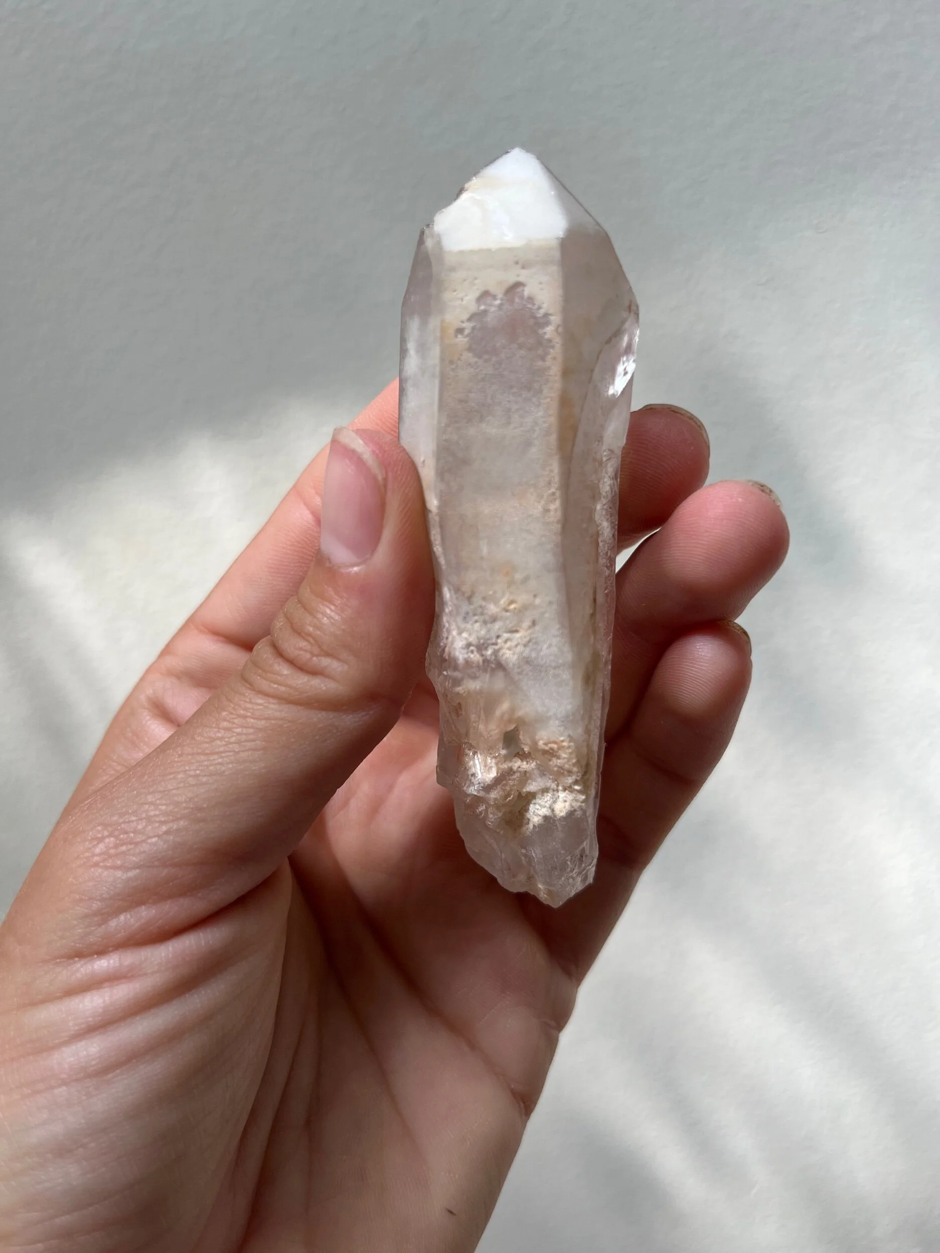 781C377C-EB8A-4286-84B8-A83CE07A6B06