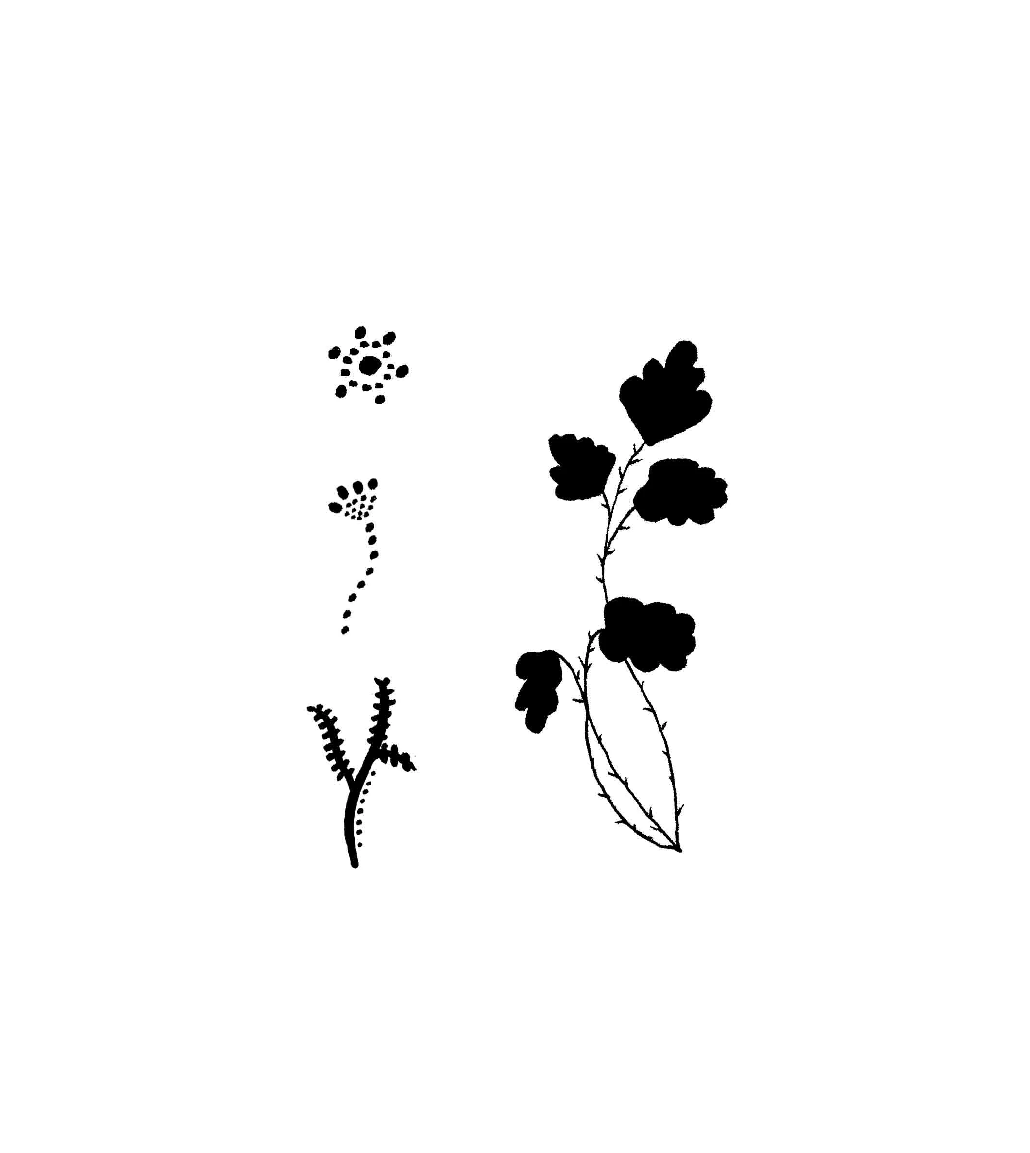 W LOGO.jpg