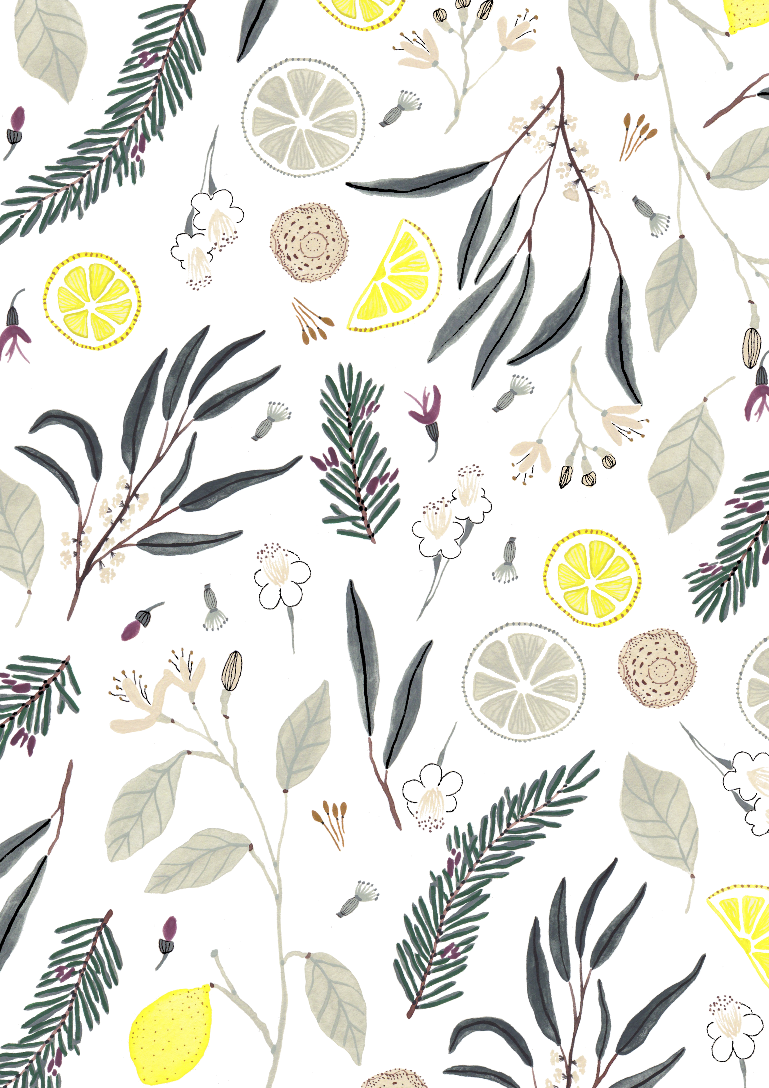 LEMON TEA TREE FINAL.png
