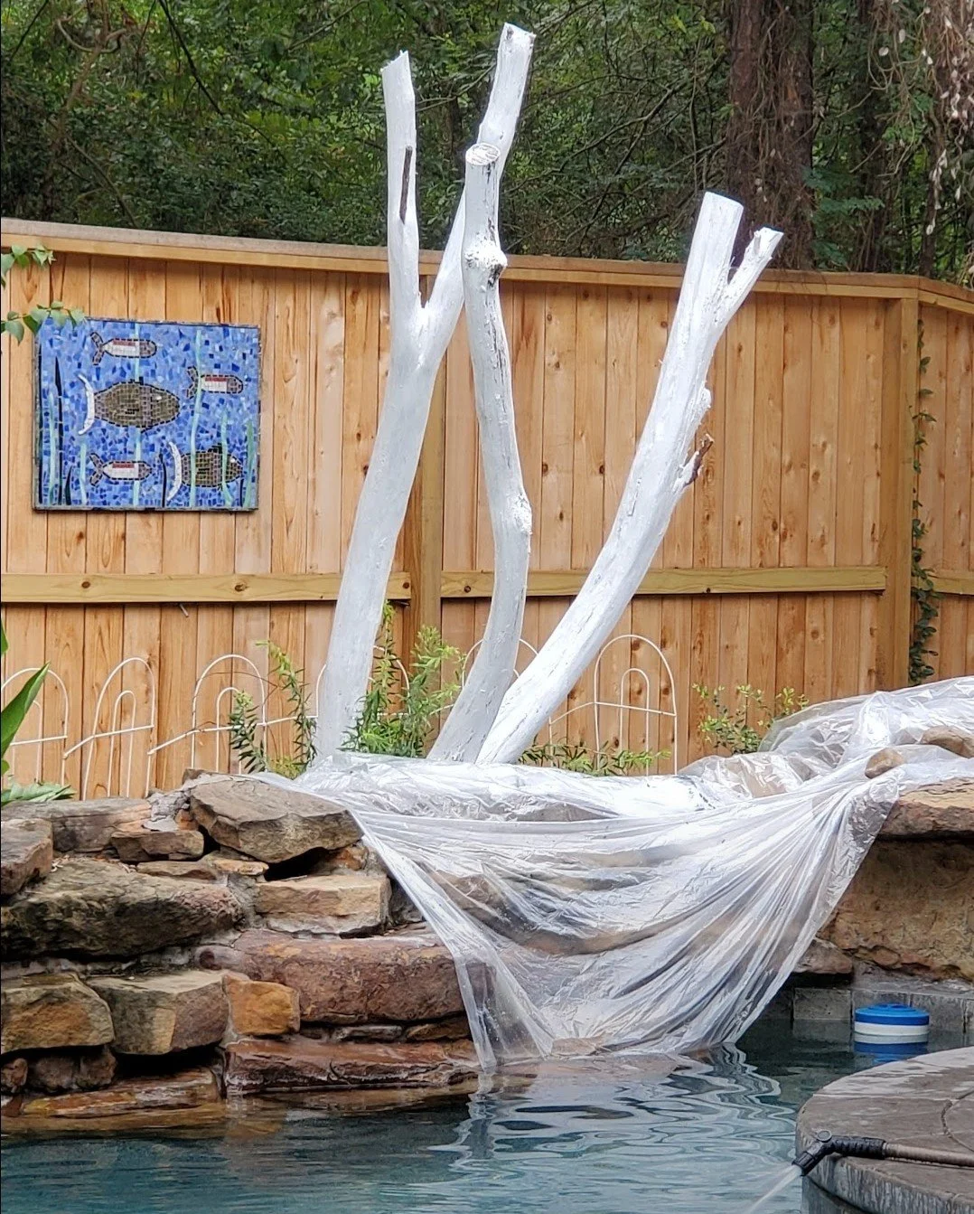 priming outdoor tree.jpg