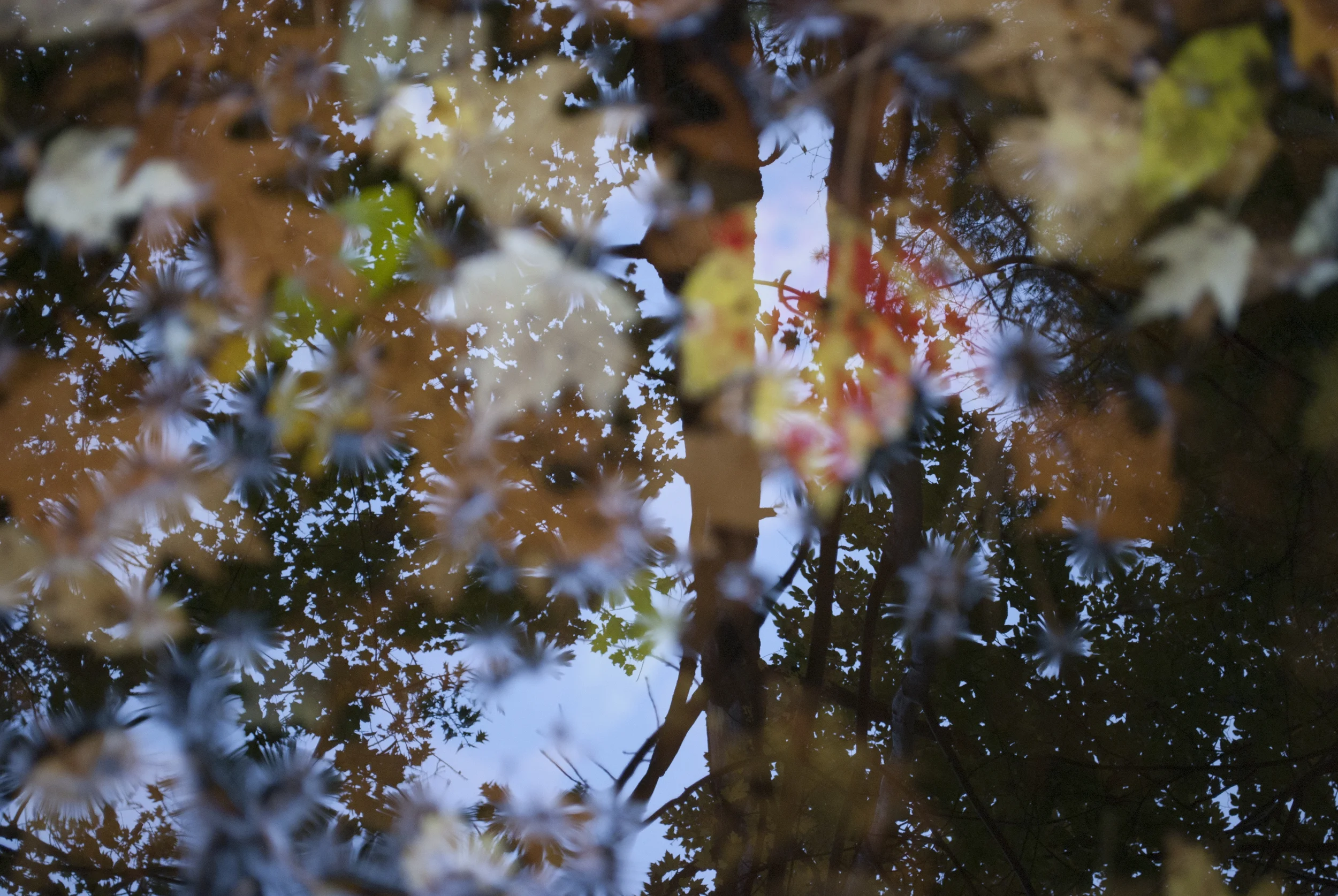 Autumn Reflection, Newfound Lake, NH