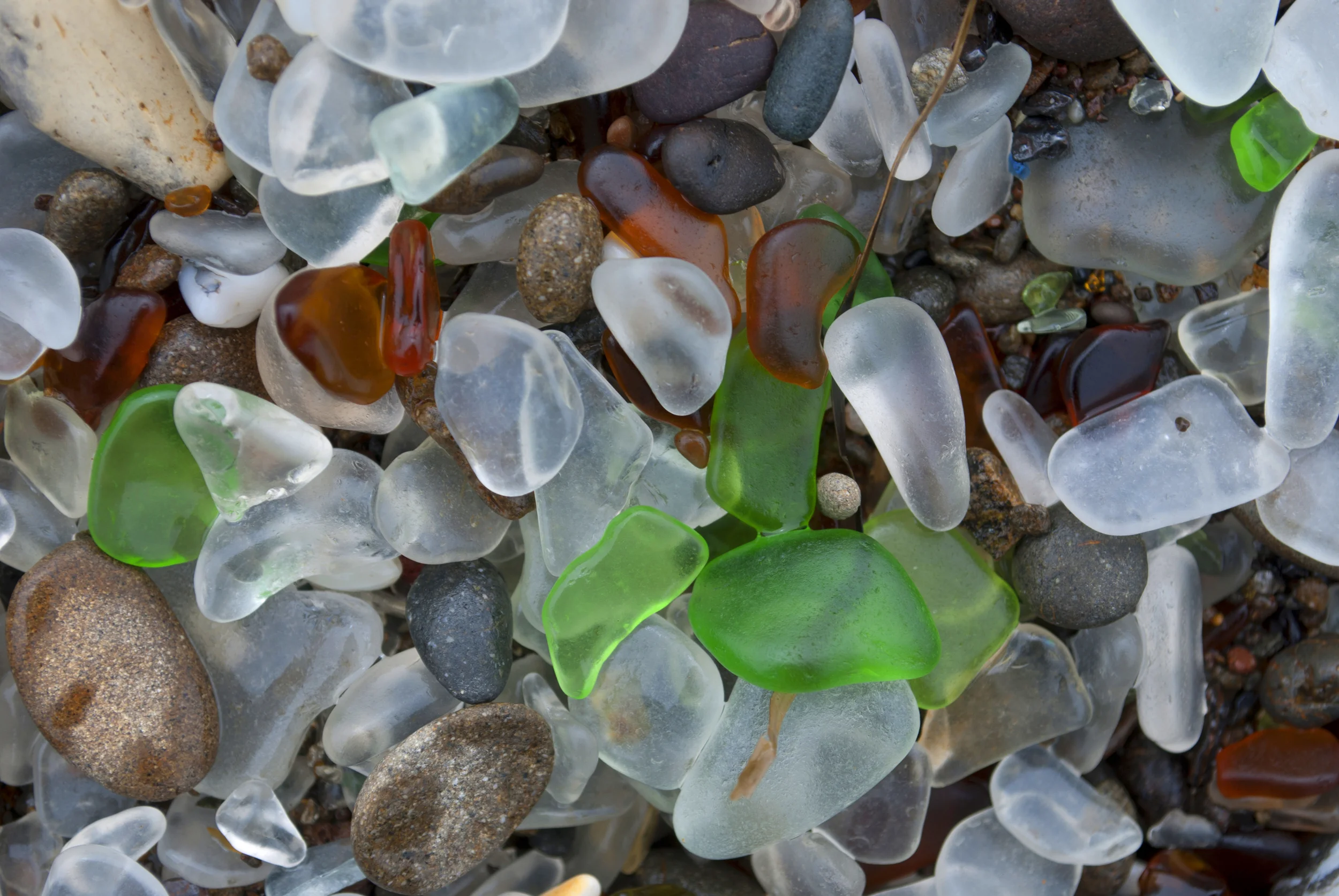Sea gems, Fort Bragg CA