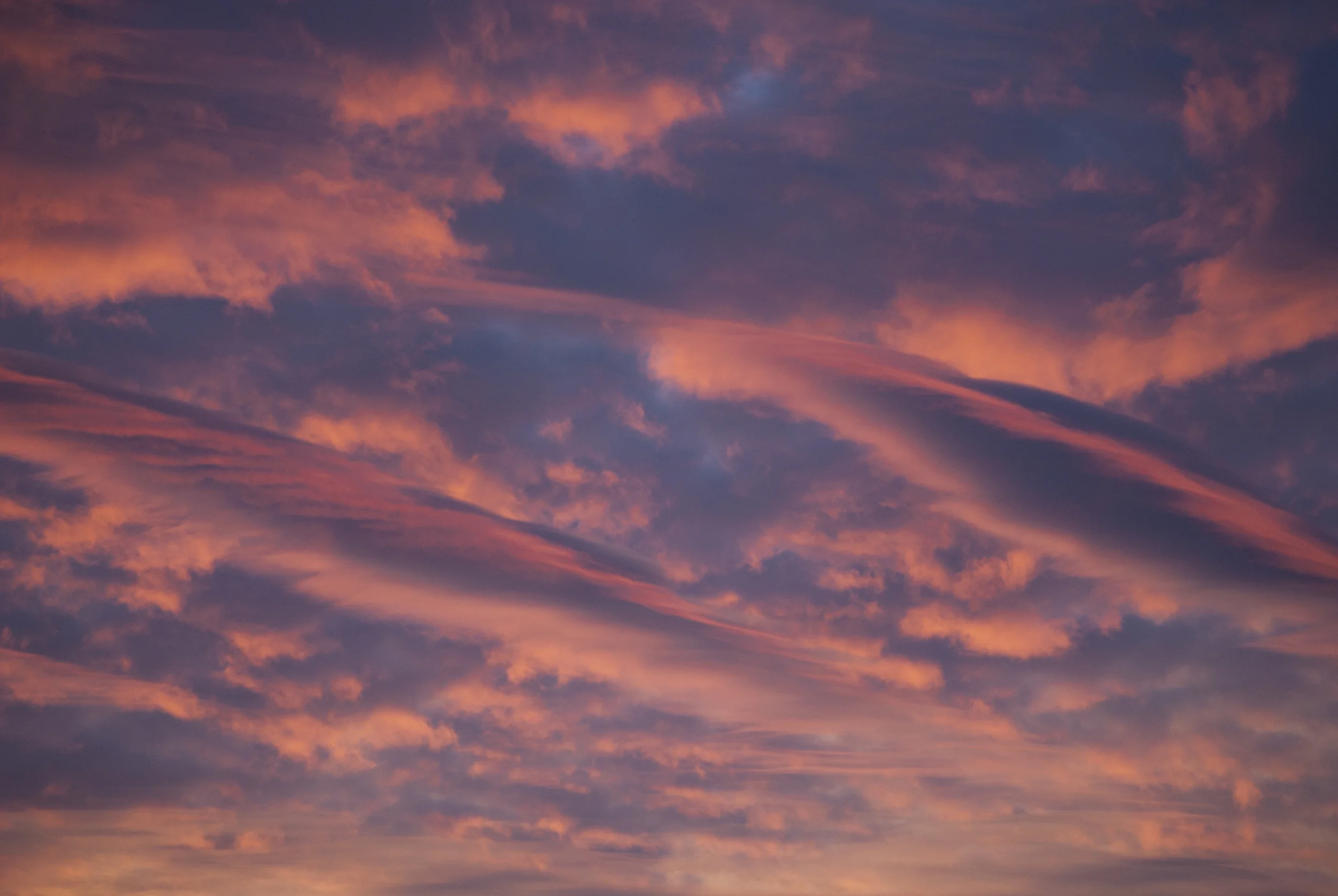 Cloud Beauty, Cambridge MA