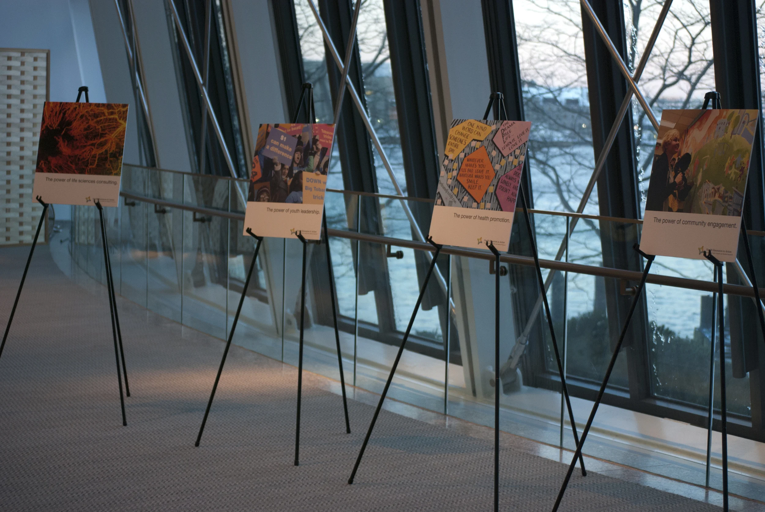 Posters on display at the Annual Meeting for Health Resources in Action.