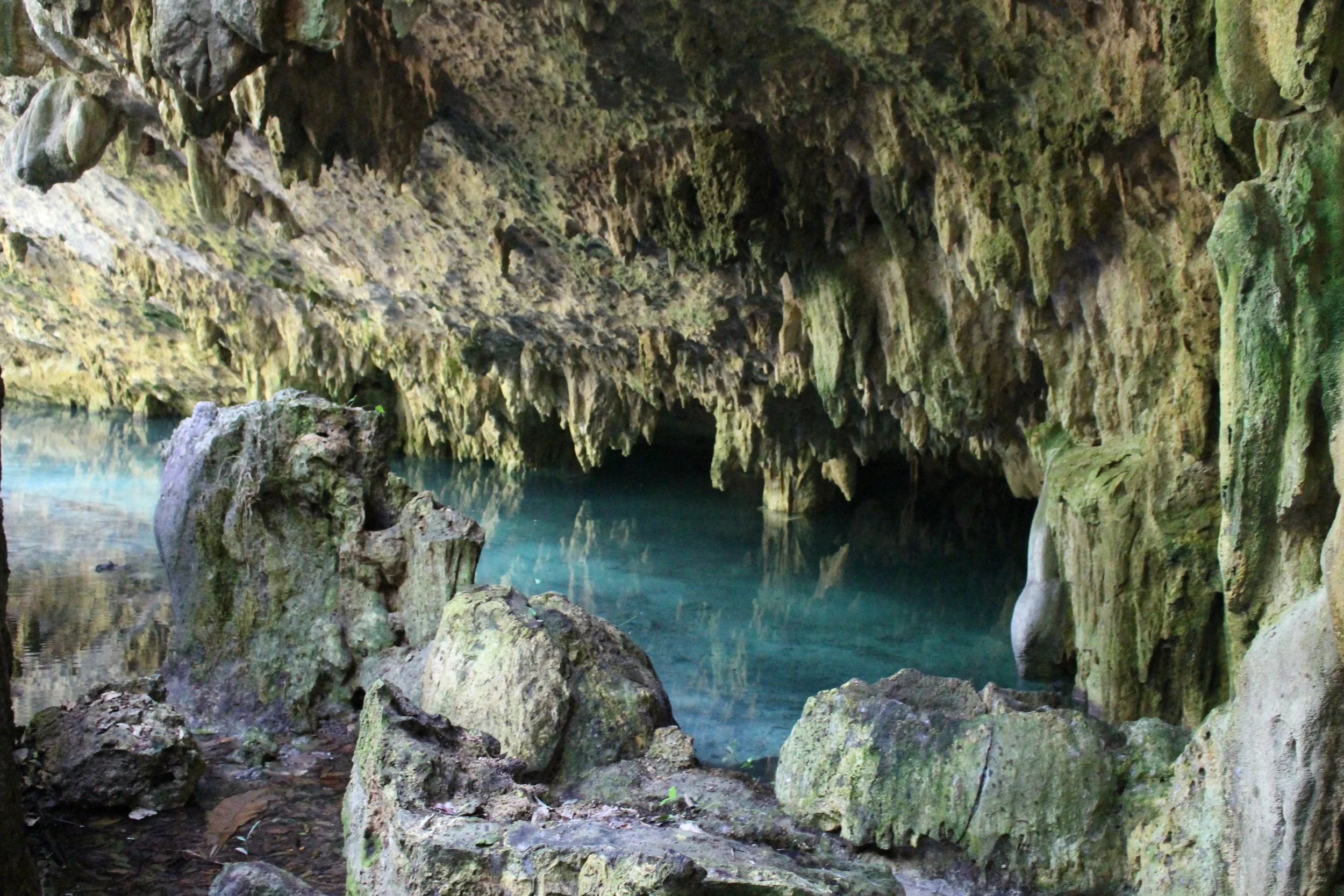 Sac Actun Caves from the surface. 