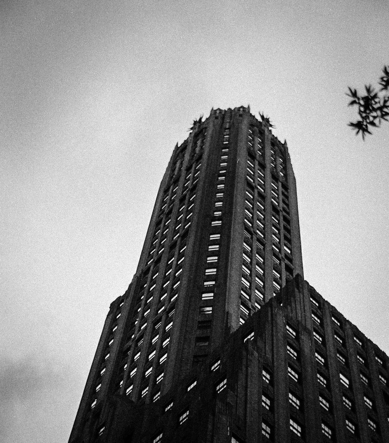 Architecture.6.jpg
