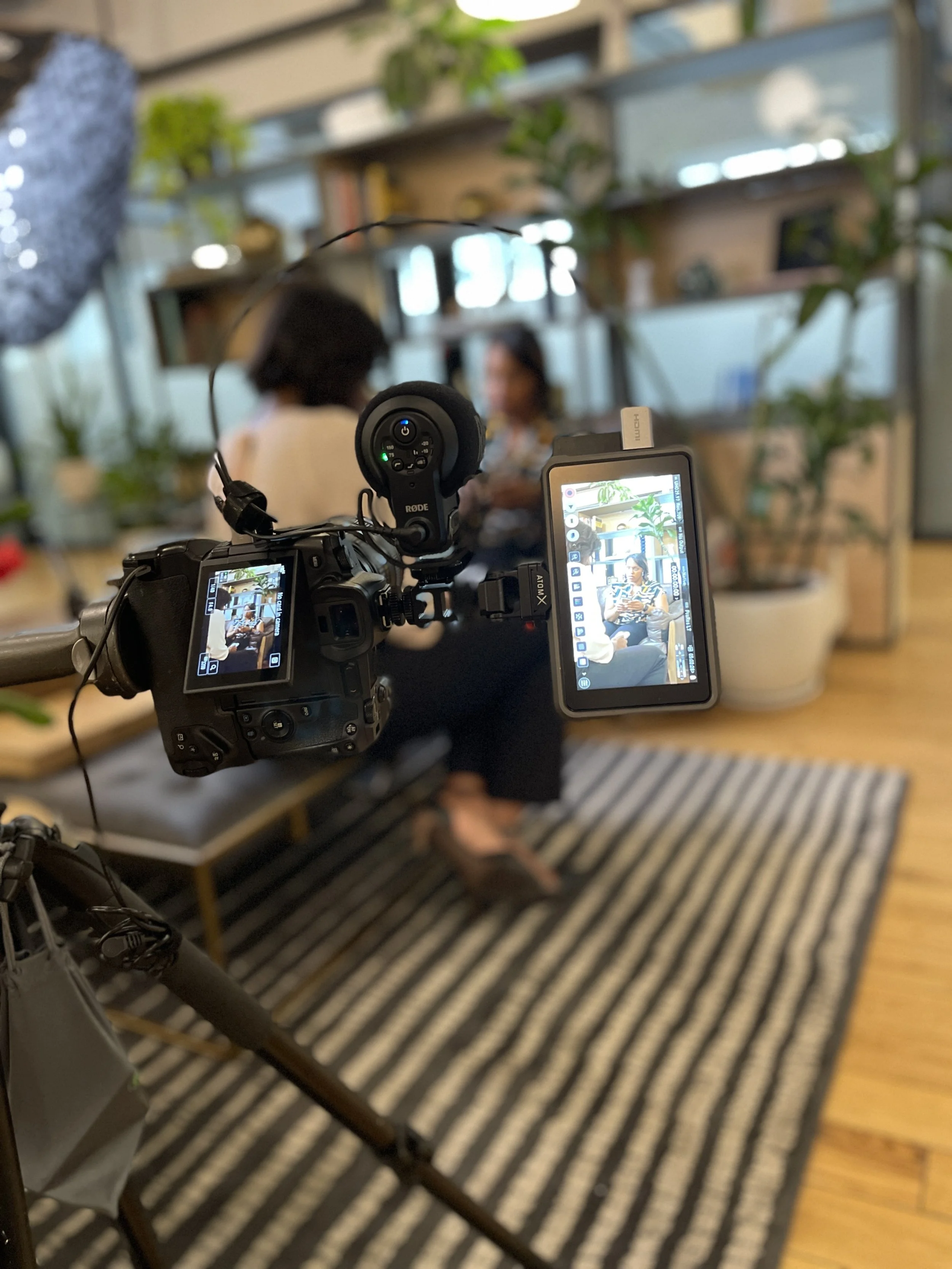 A professional video camera capturing a woman sitting on a striped rug in a well-decorated room with plants, bookshelves, and two women conversing in the background.