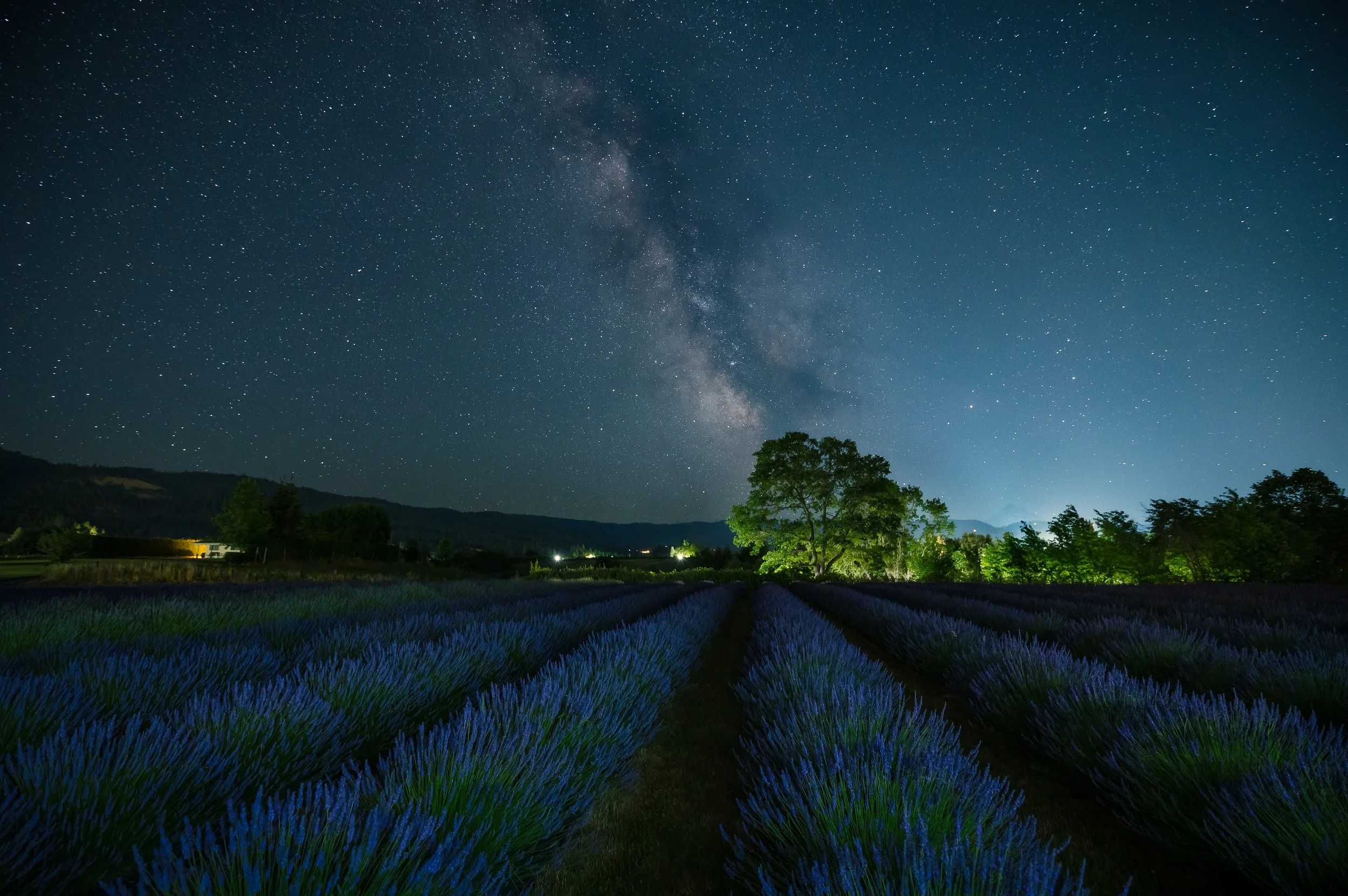 SP-HQ-2024-07-08 -  628169-Edit.jpg