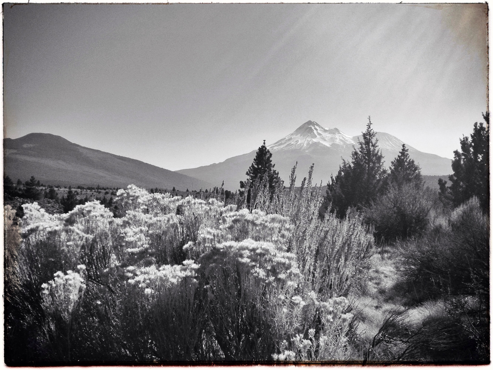 Mt. Shasta by iPhone