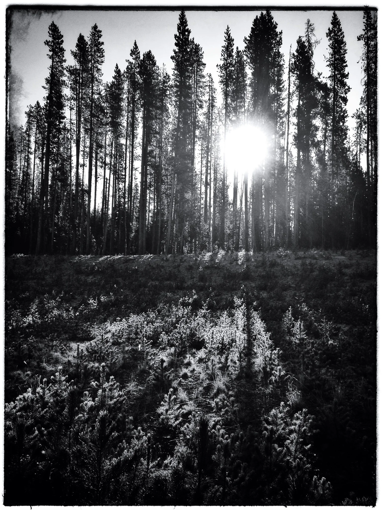 Crater Lake National Park - Frosty Sunrise