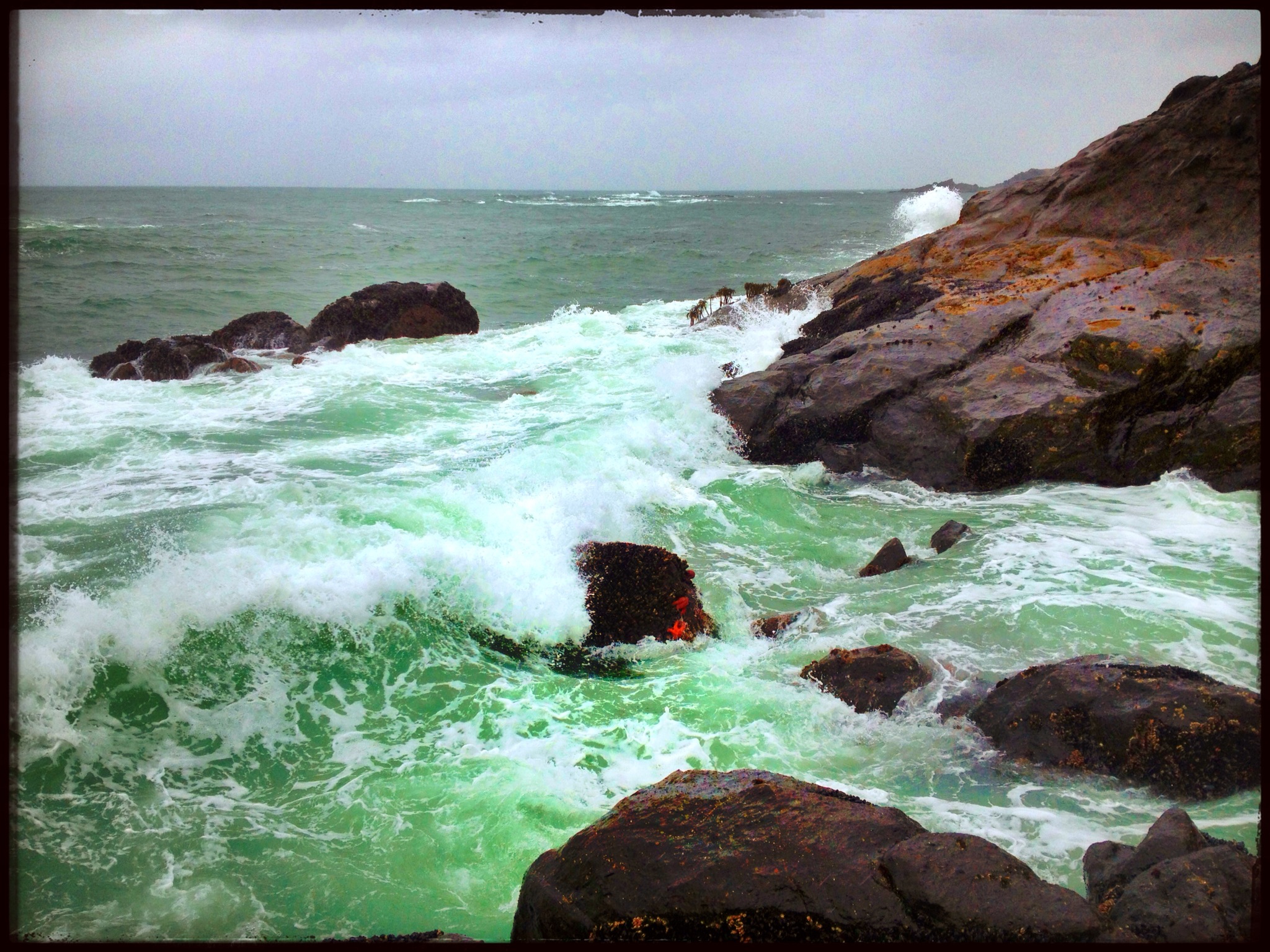 Hidden Stars - Fogarty Beach State Park, OR
