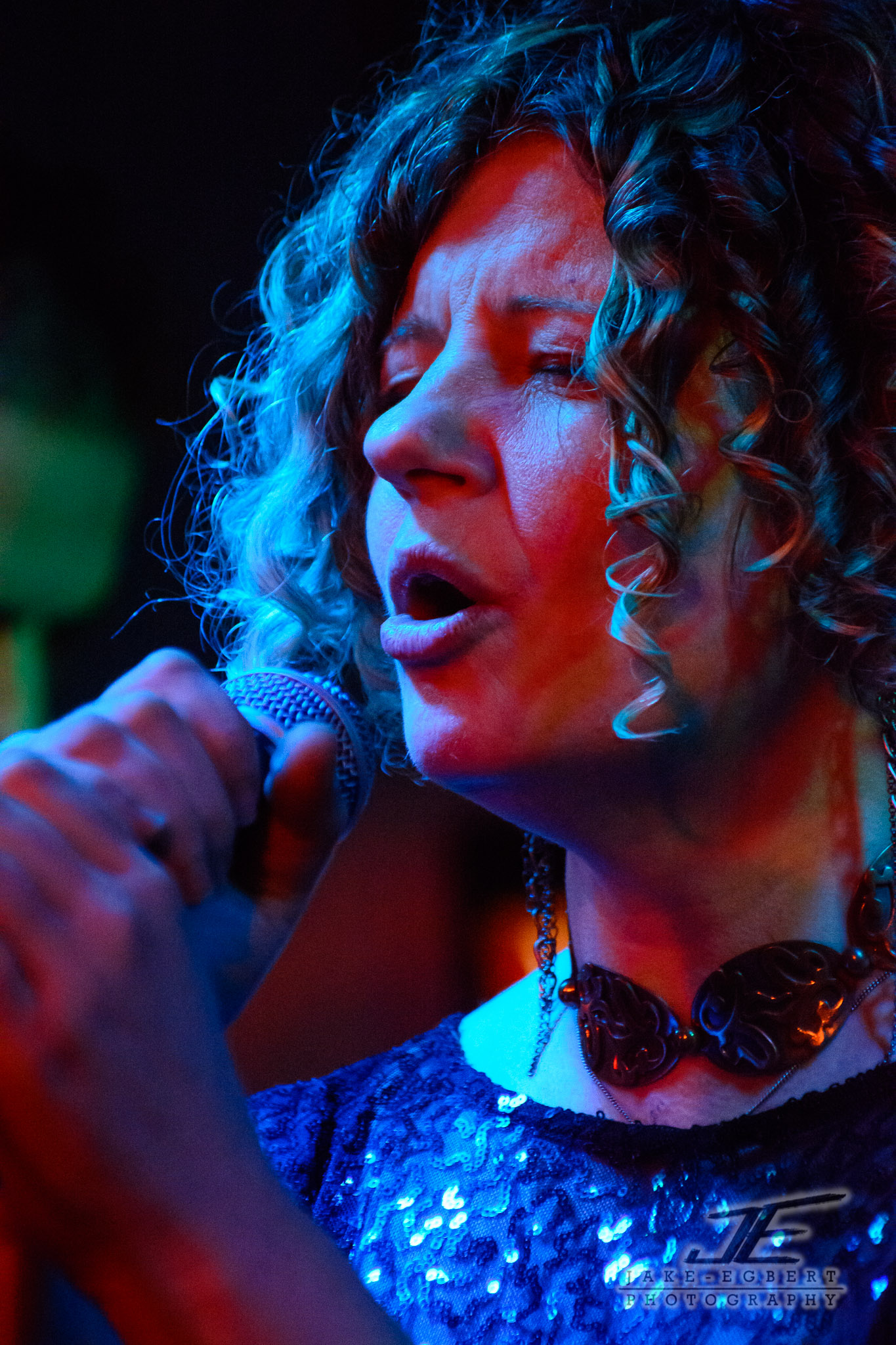 FB - 2014-01-19 - BGap-Concert - 11944.jpg